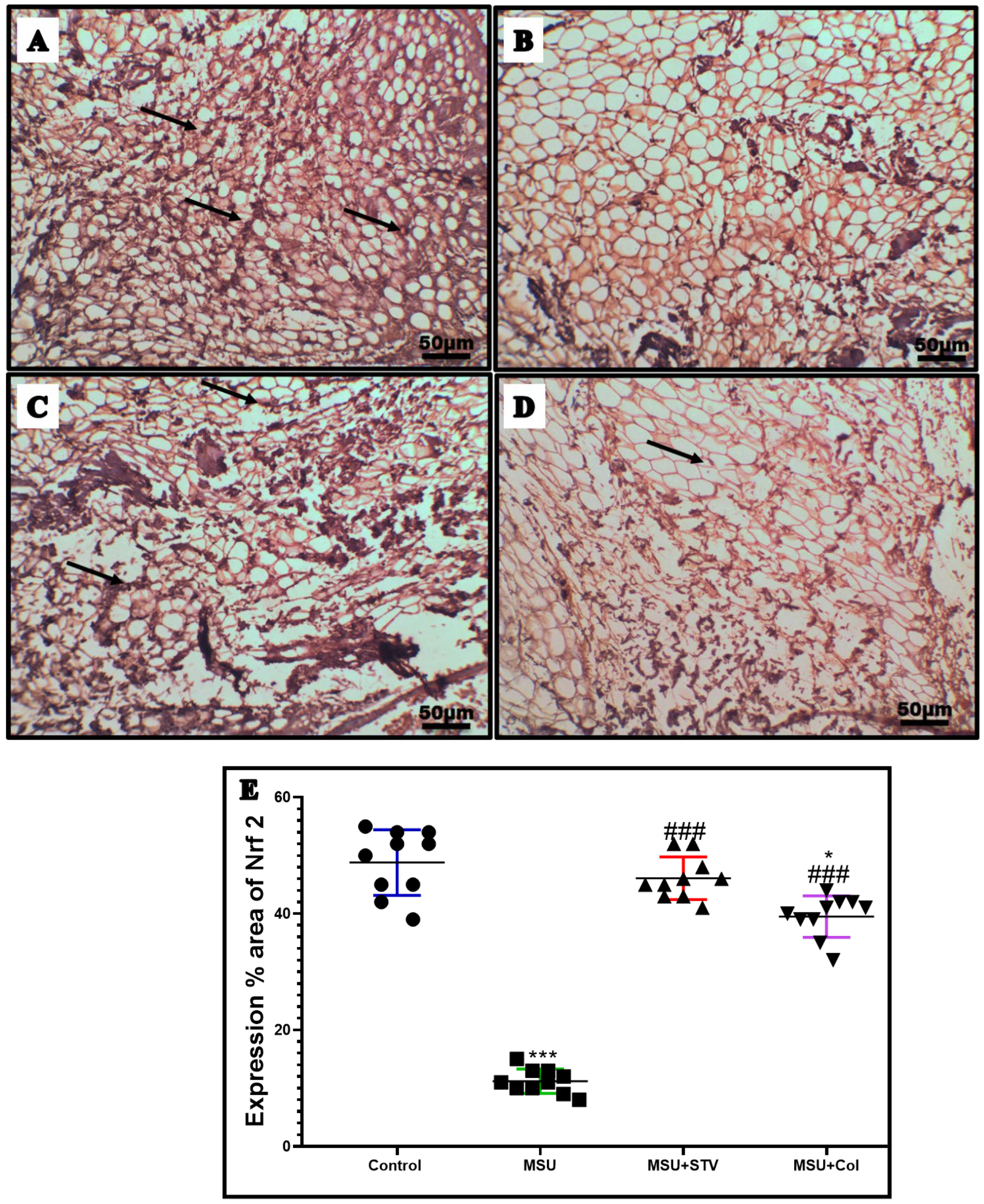 Processes 10 01751 g004