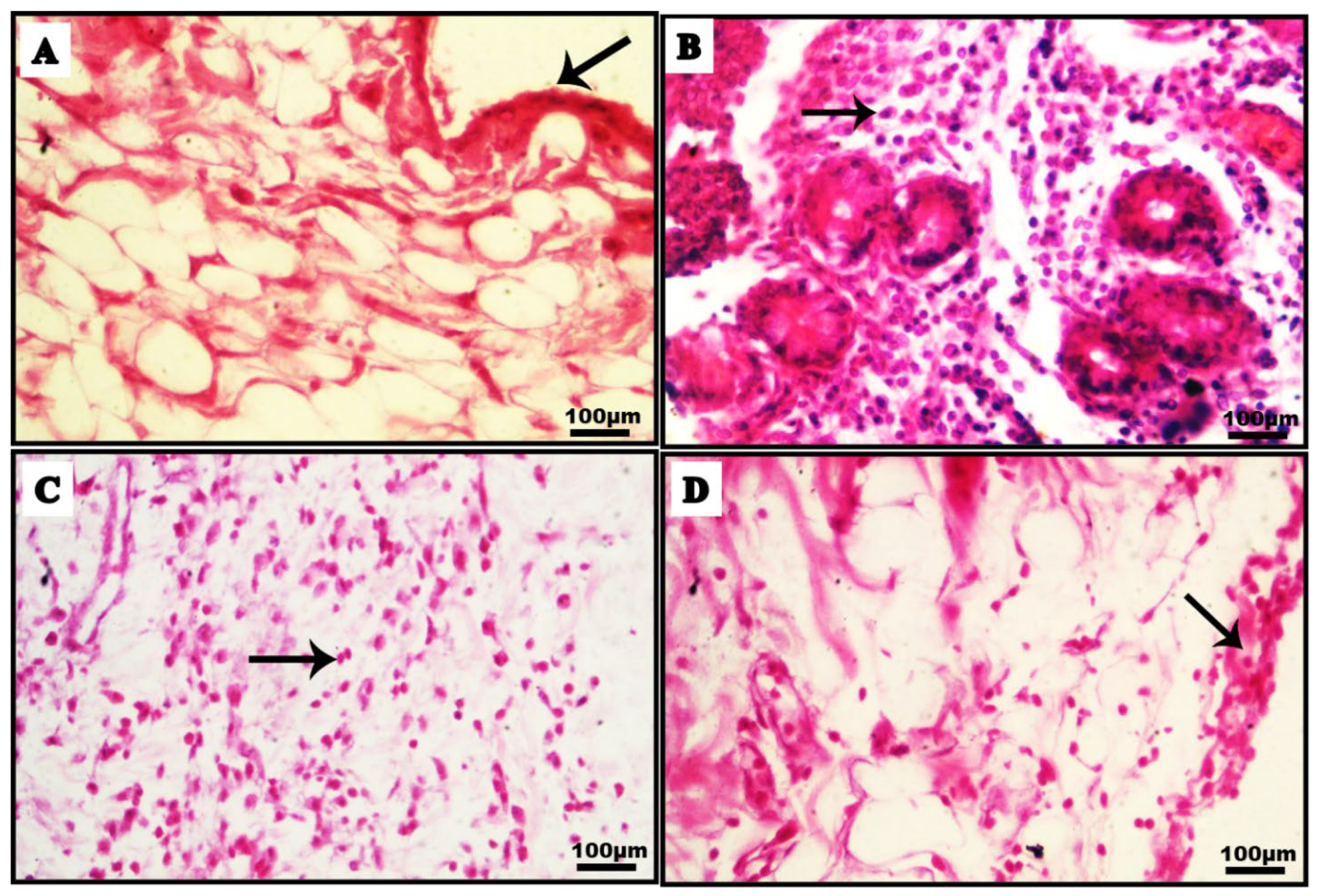 Processes 10 01751 g006a
