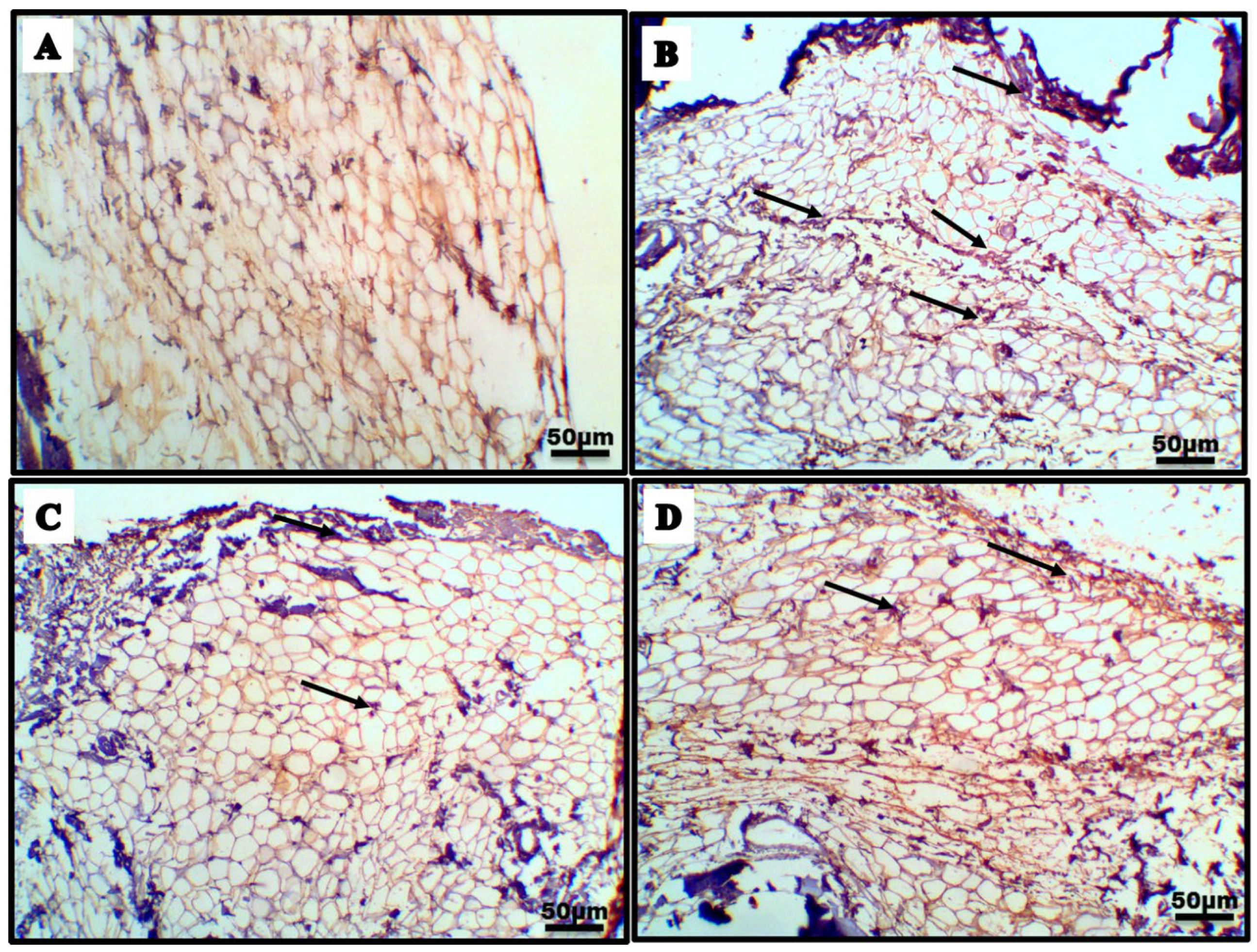 Processes 10 01751 g007a