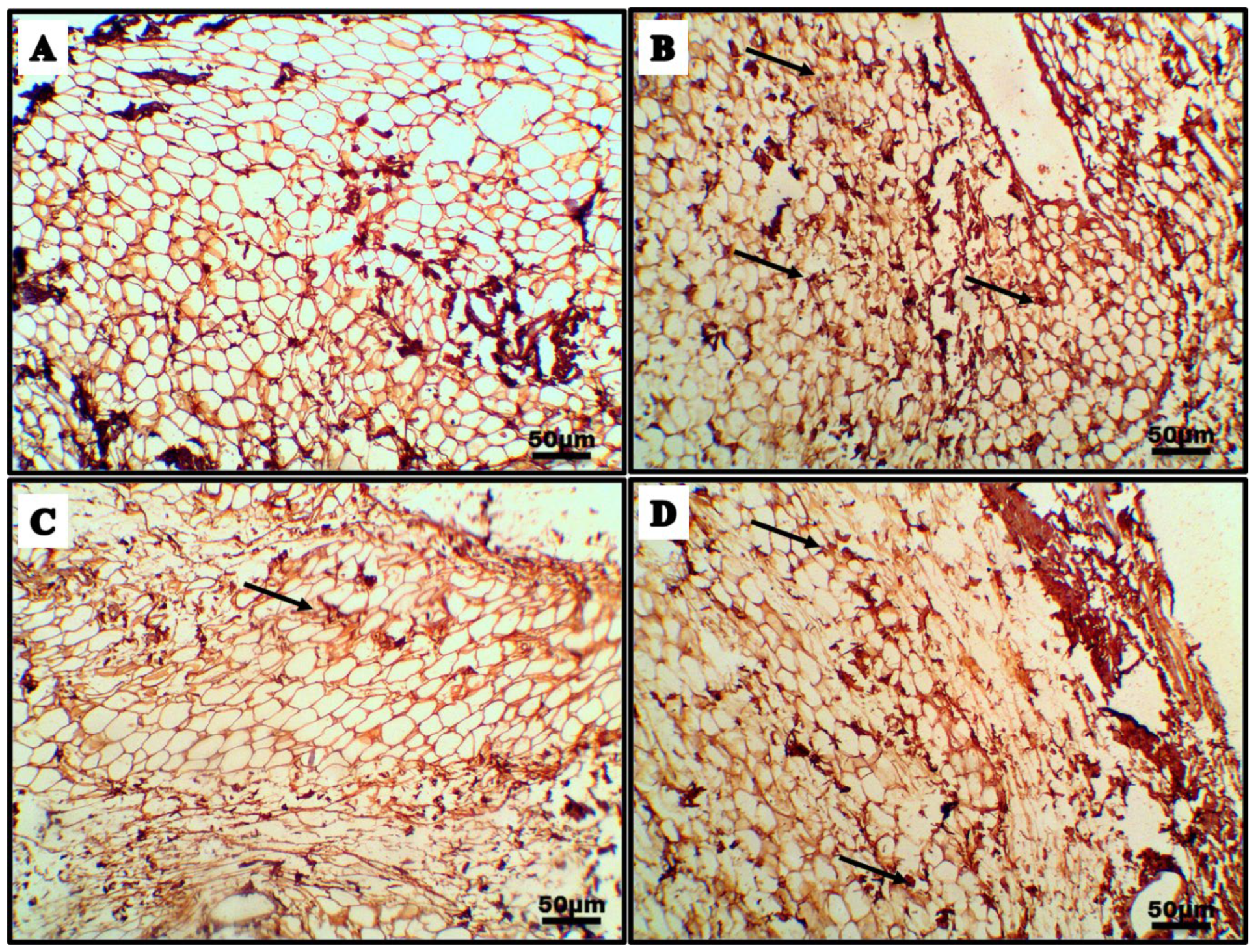 Processes 10 01751 g011a