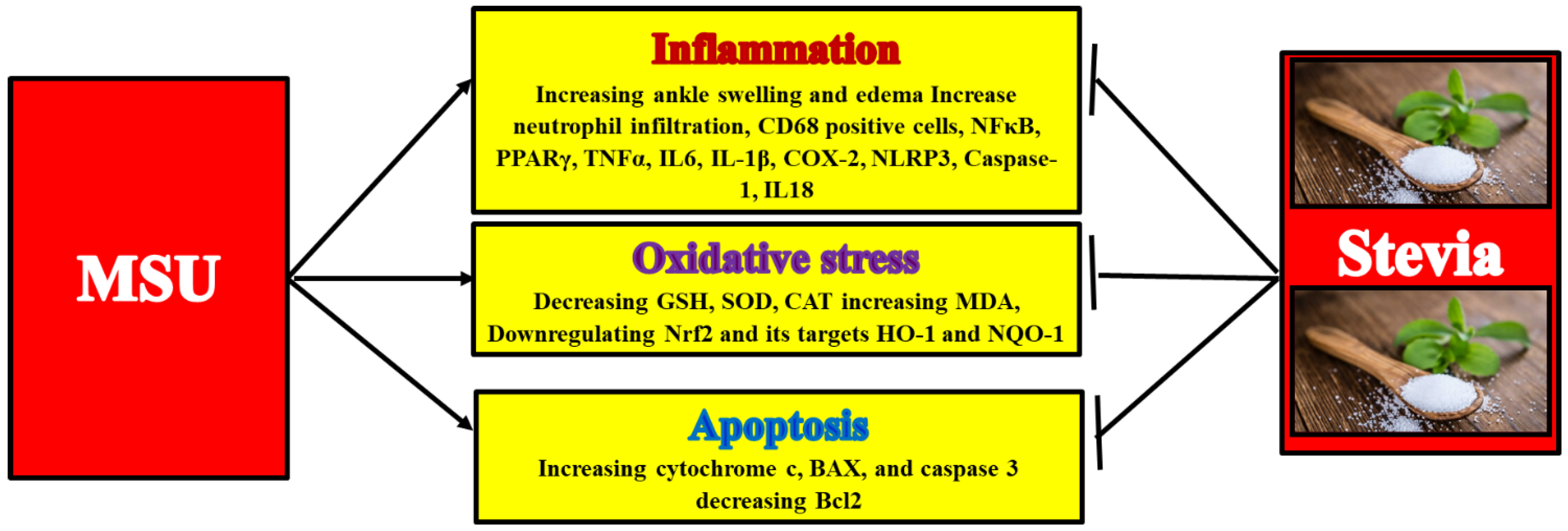 Processes 10 01751 g014
