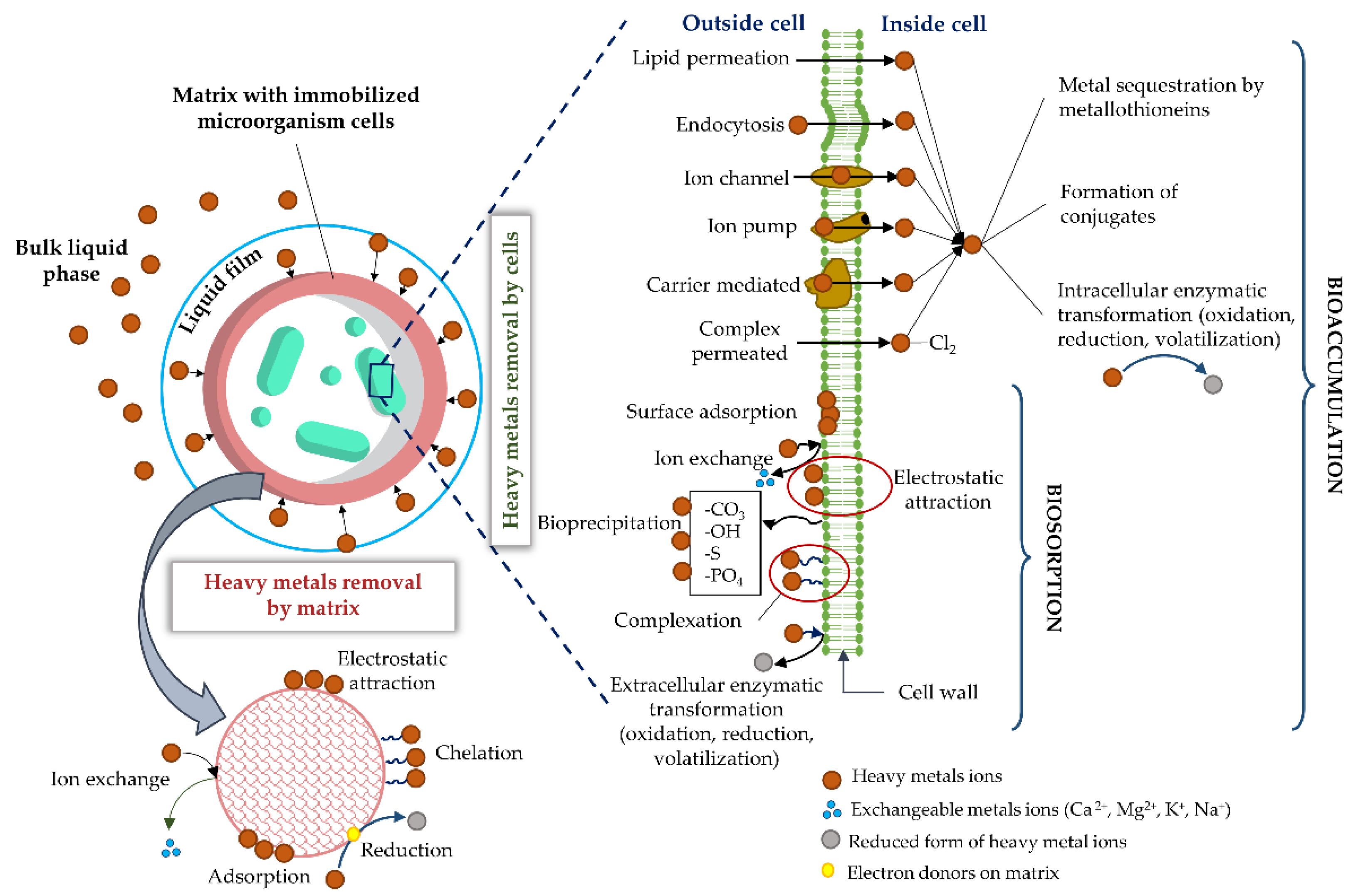 Processes 10 01758 g003
