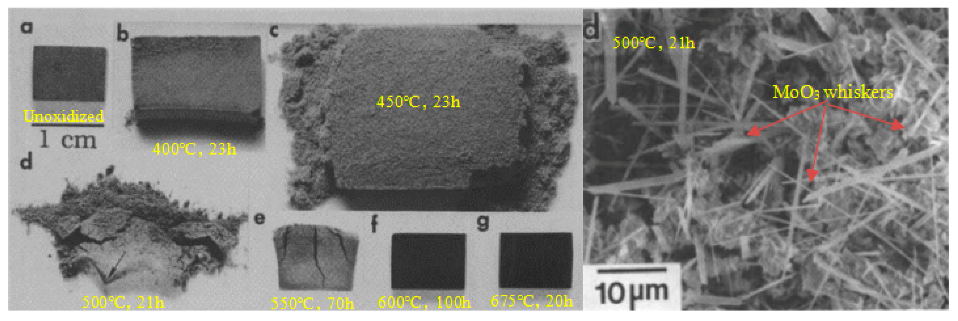 Processes 10 01772 g005 Processes 10 01772 g005