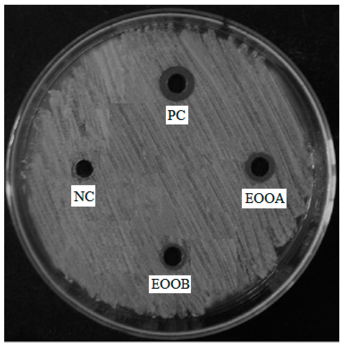 Processes 10 01785 g001 550