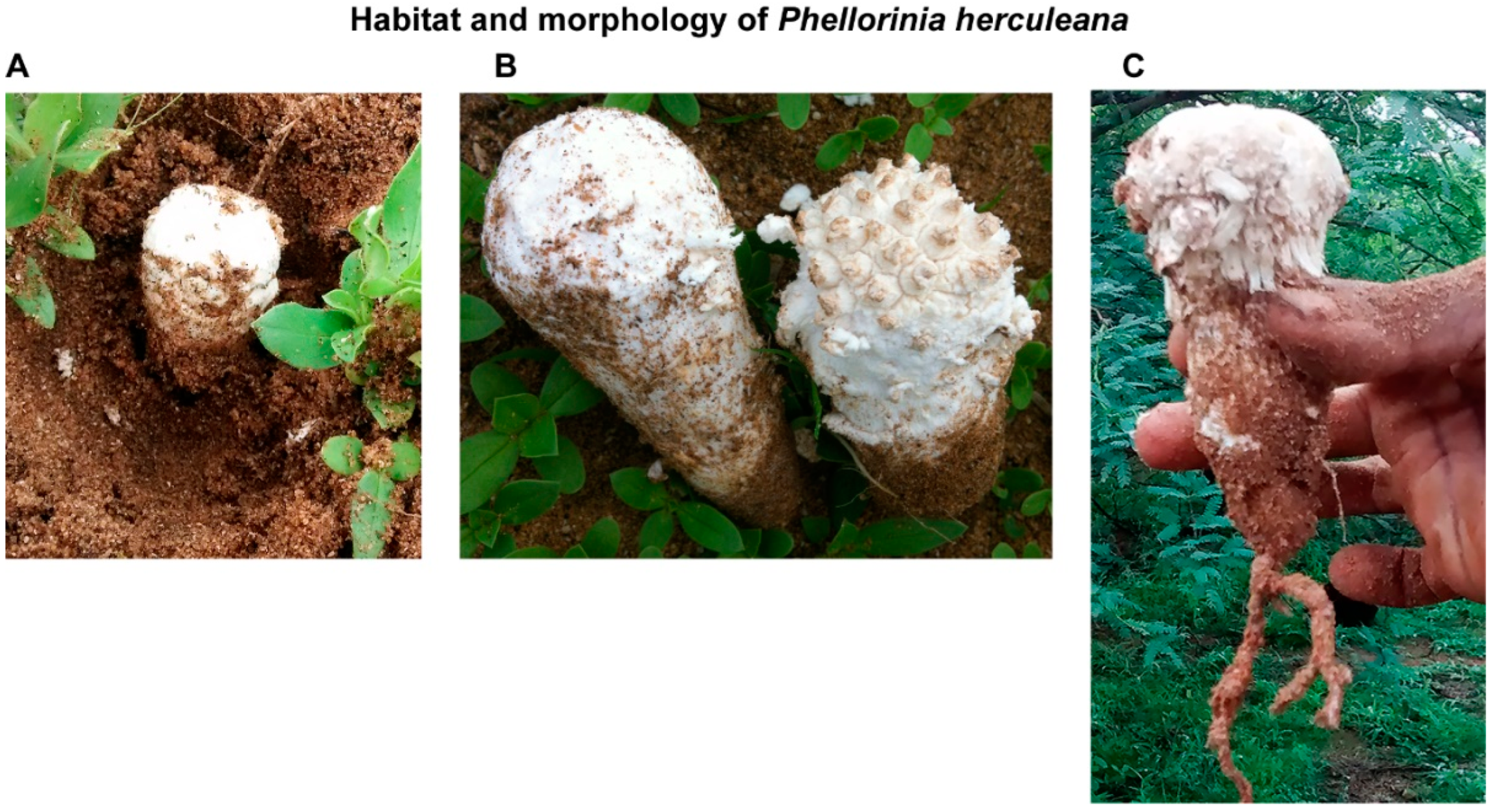 Processes 10 01797 g001 550