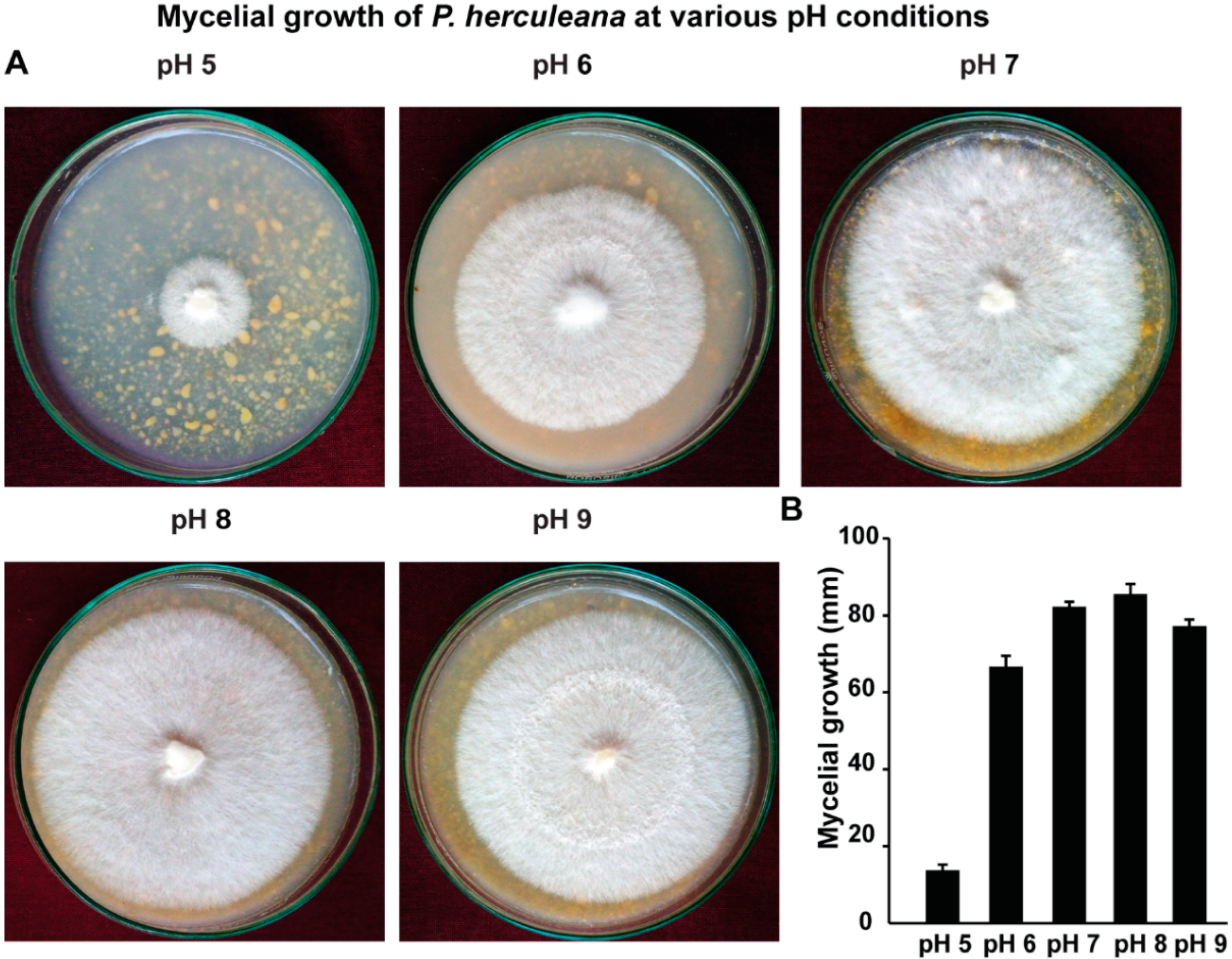 Processes 10 01797 g005 550