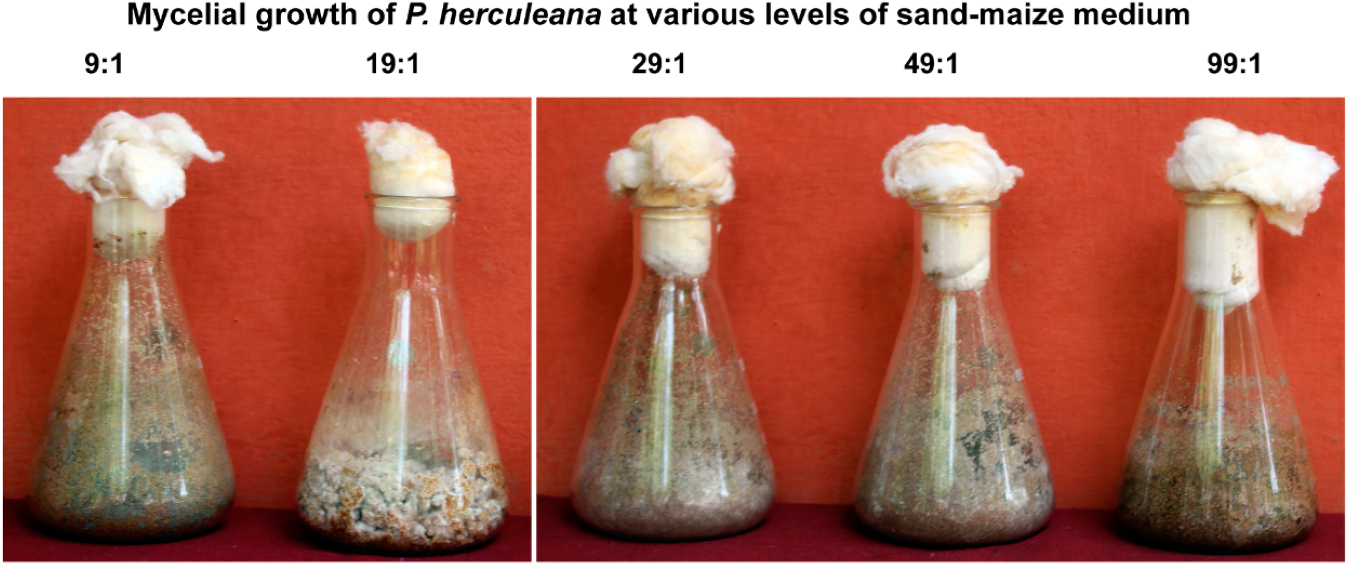Processes 10 01797 g006 550