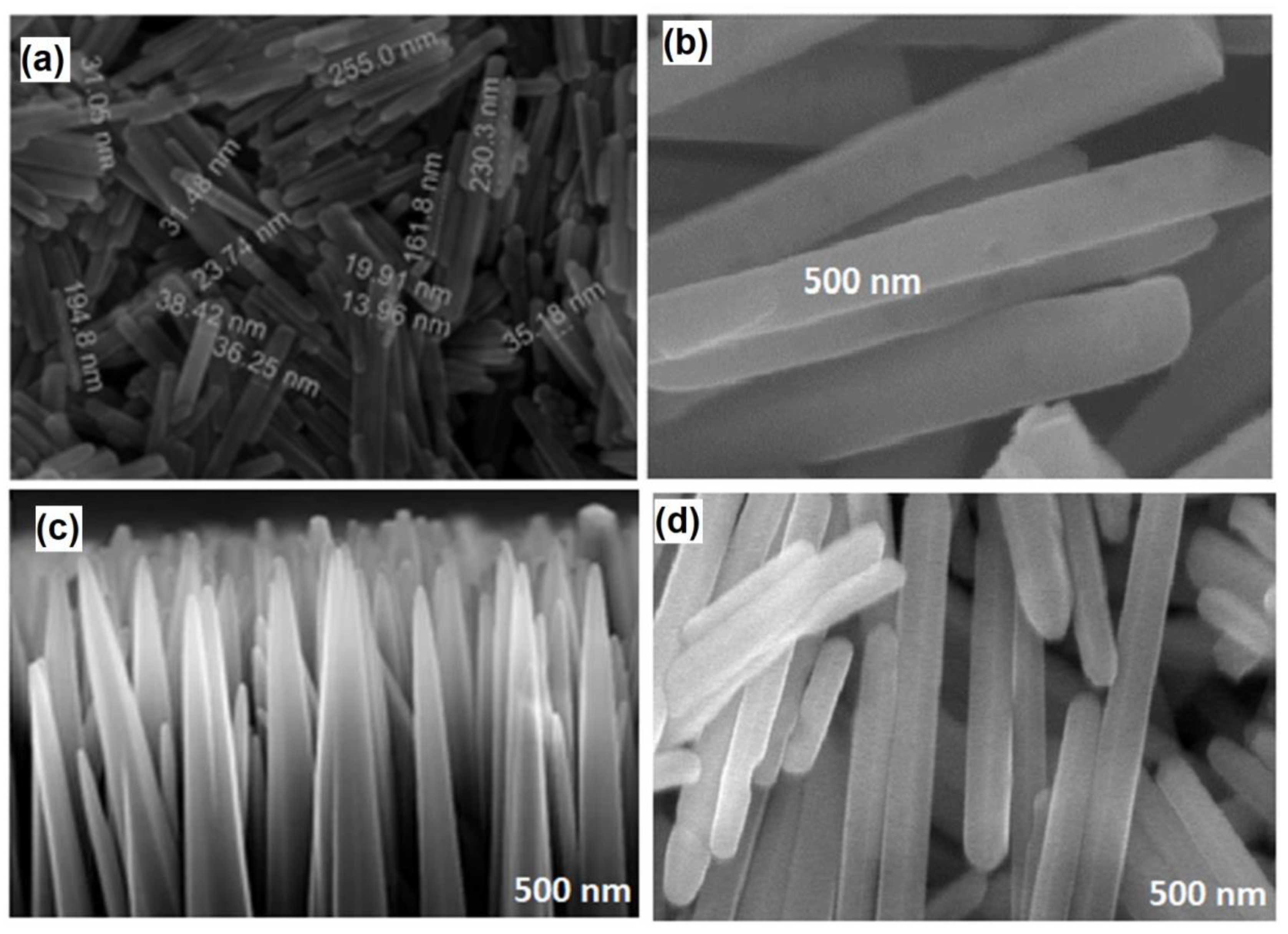 Processes 10 01803 g005