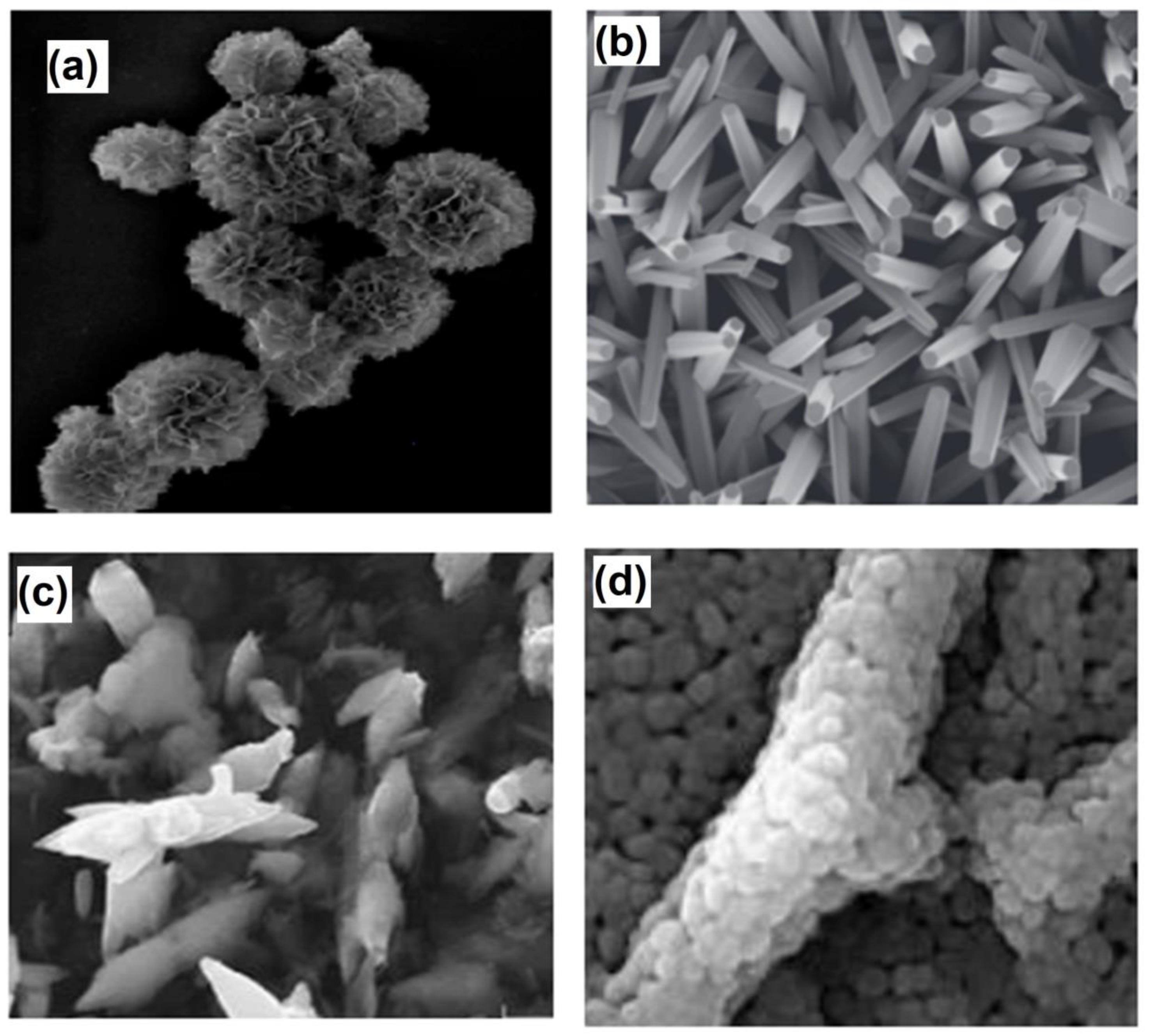 Processes 10 01803 g010