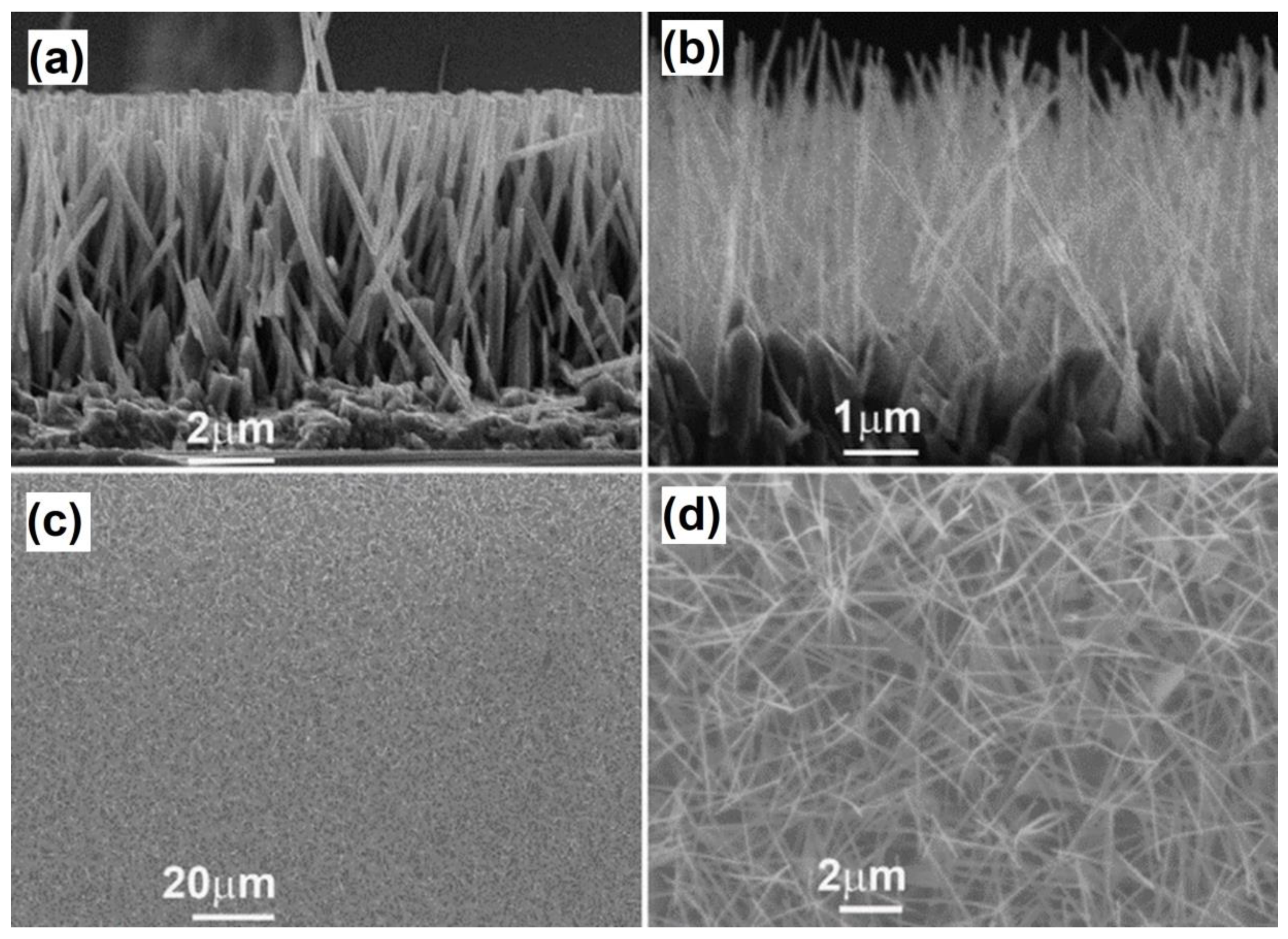 Processes 10 01803 g011