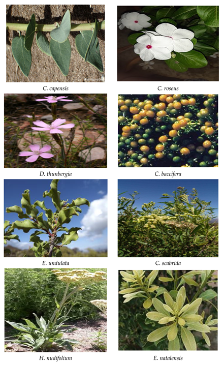 Processes 10 01817 g003c