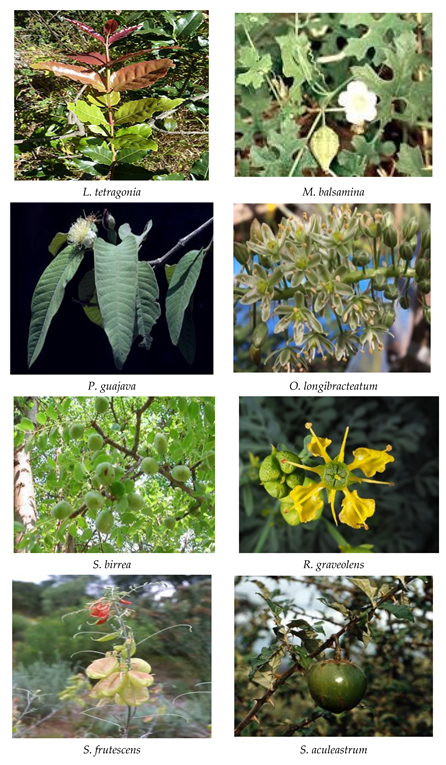 Processes 10 01817 g003e