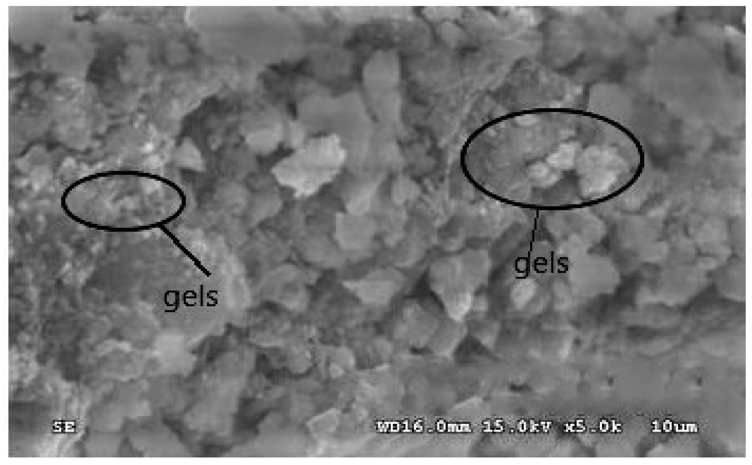 Processes 10 01818 g019
