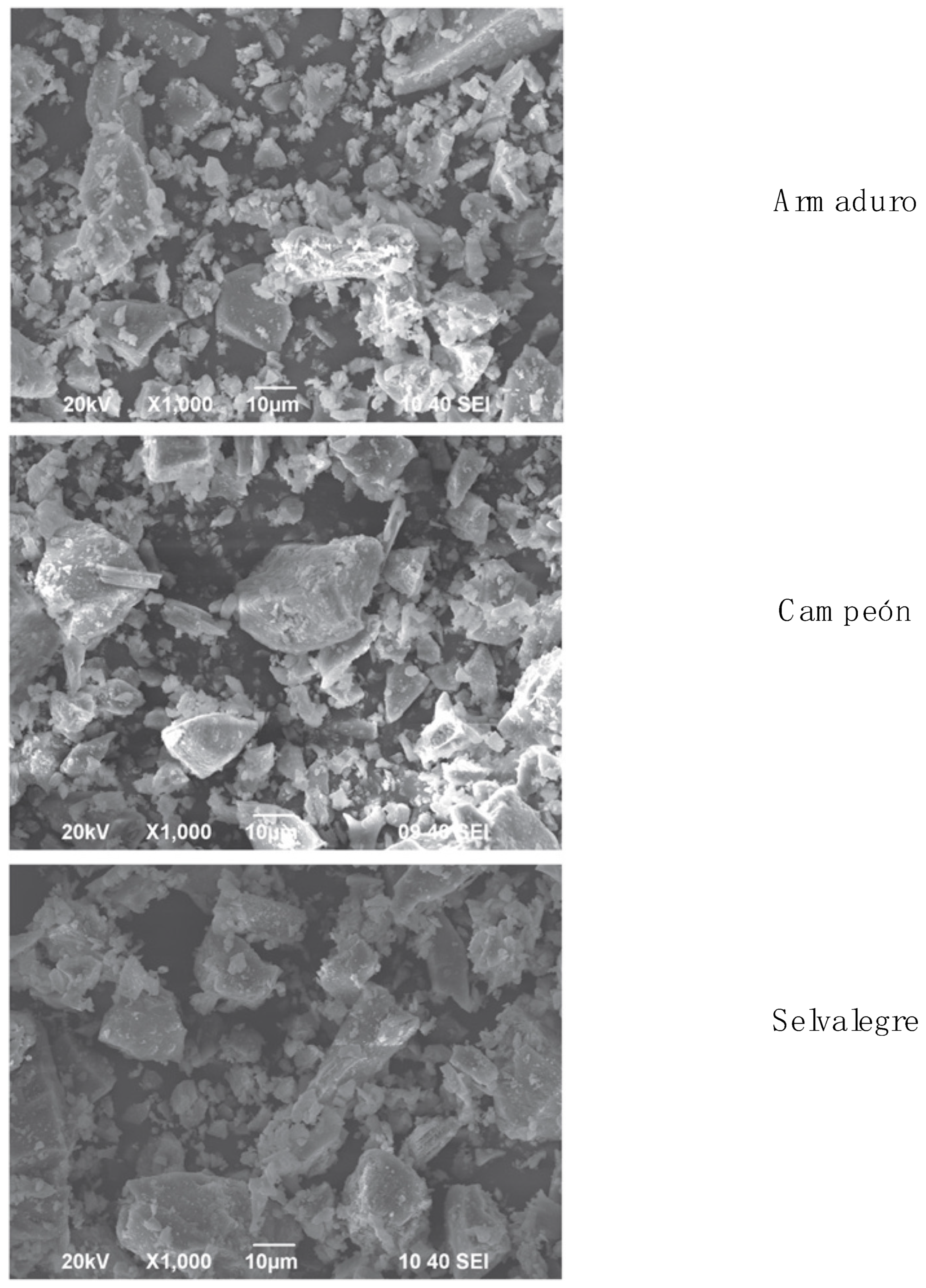 Processes 10 01820 g001