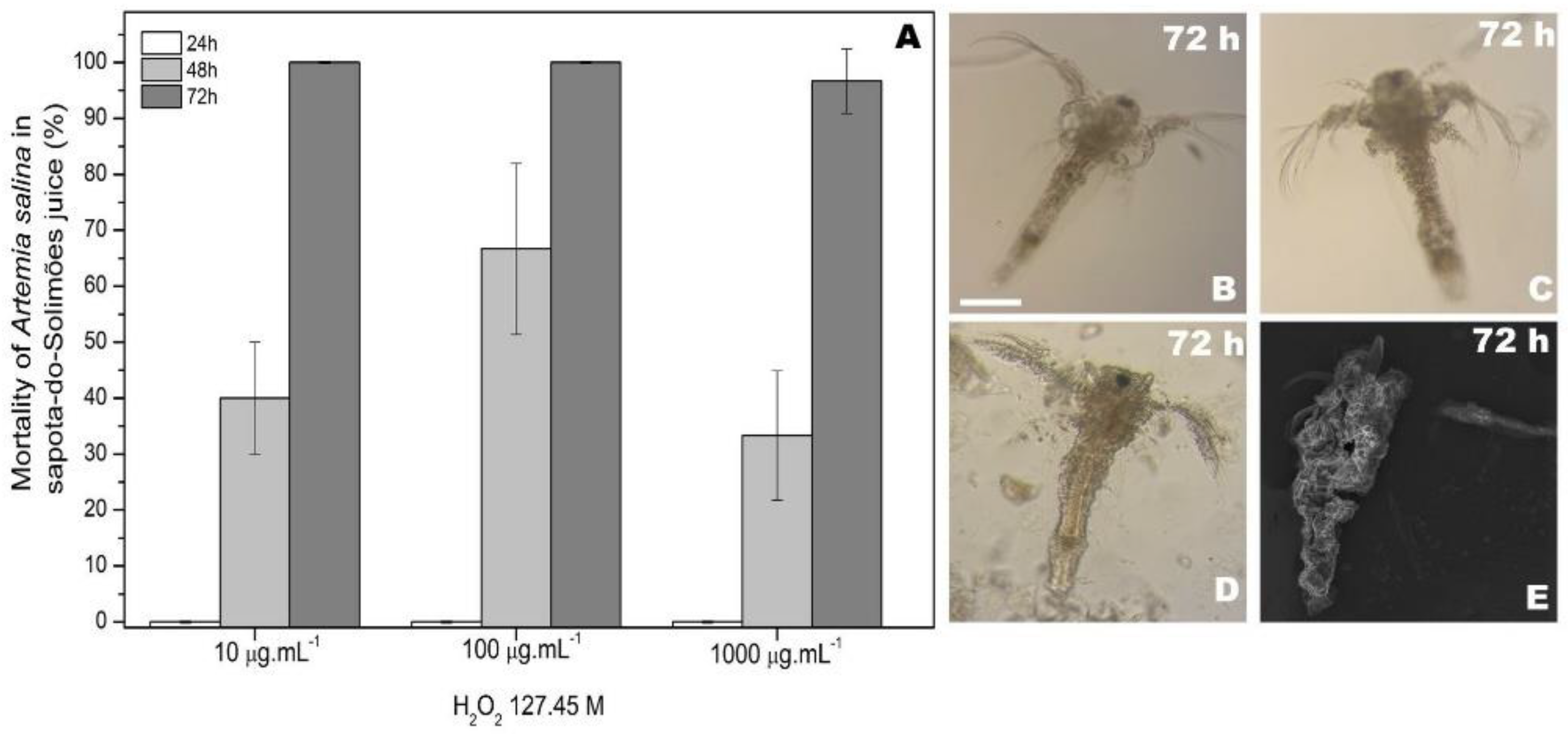 Processes 10 01880 g004