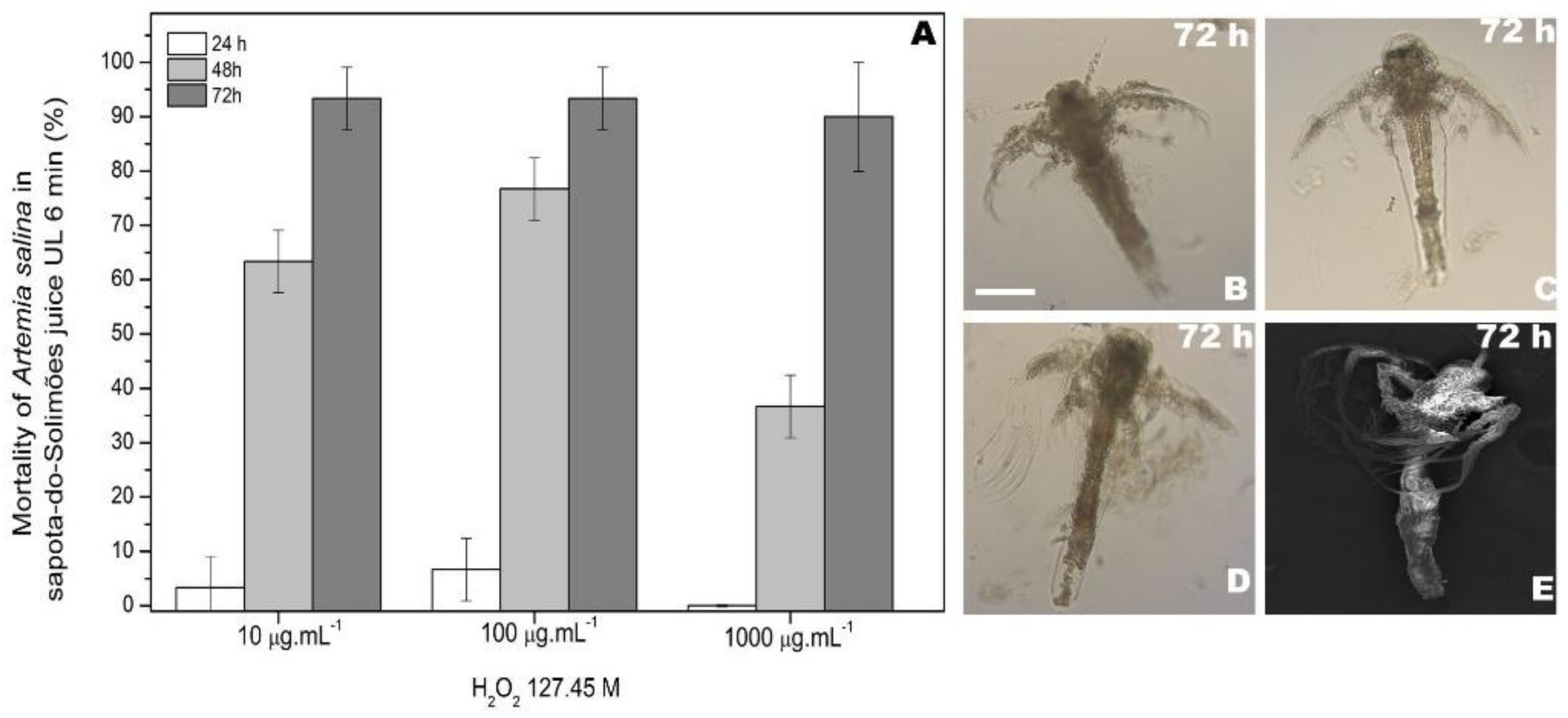 Processes 10 01880 g006