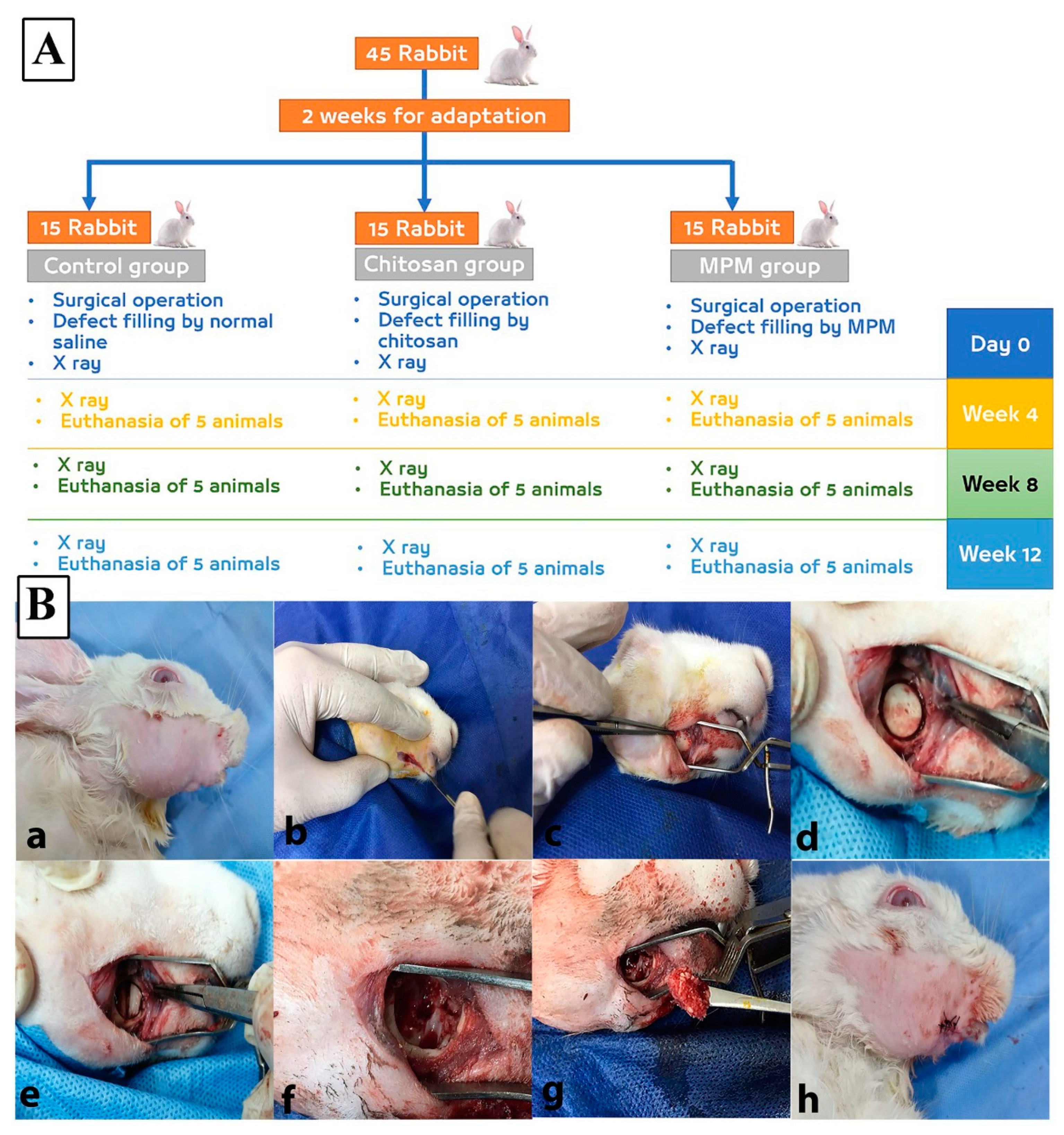 Processes 10 01890 g001