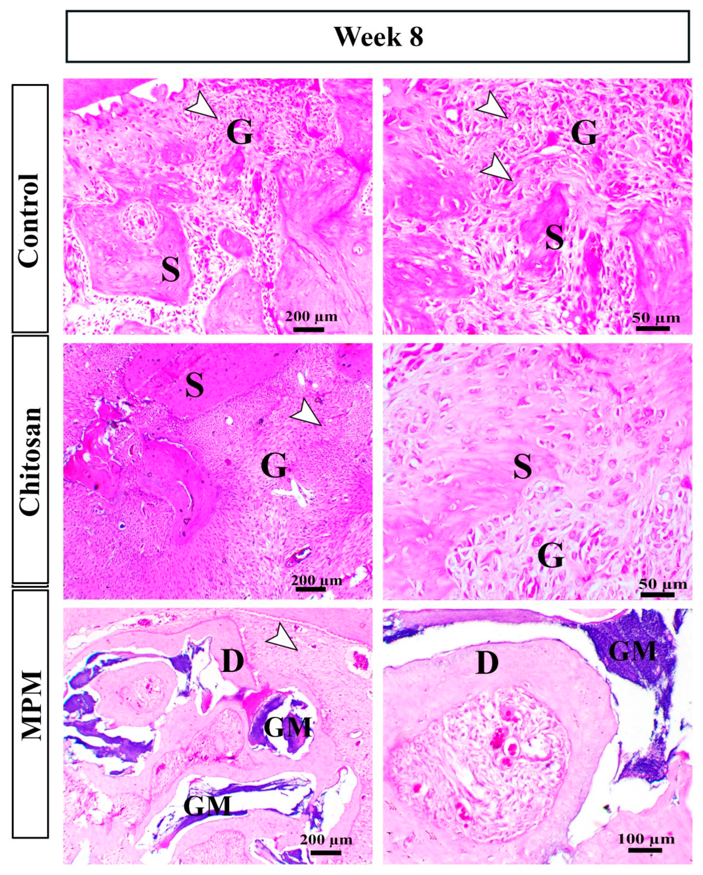 Processes 10 01890 g005
