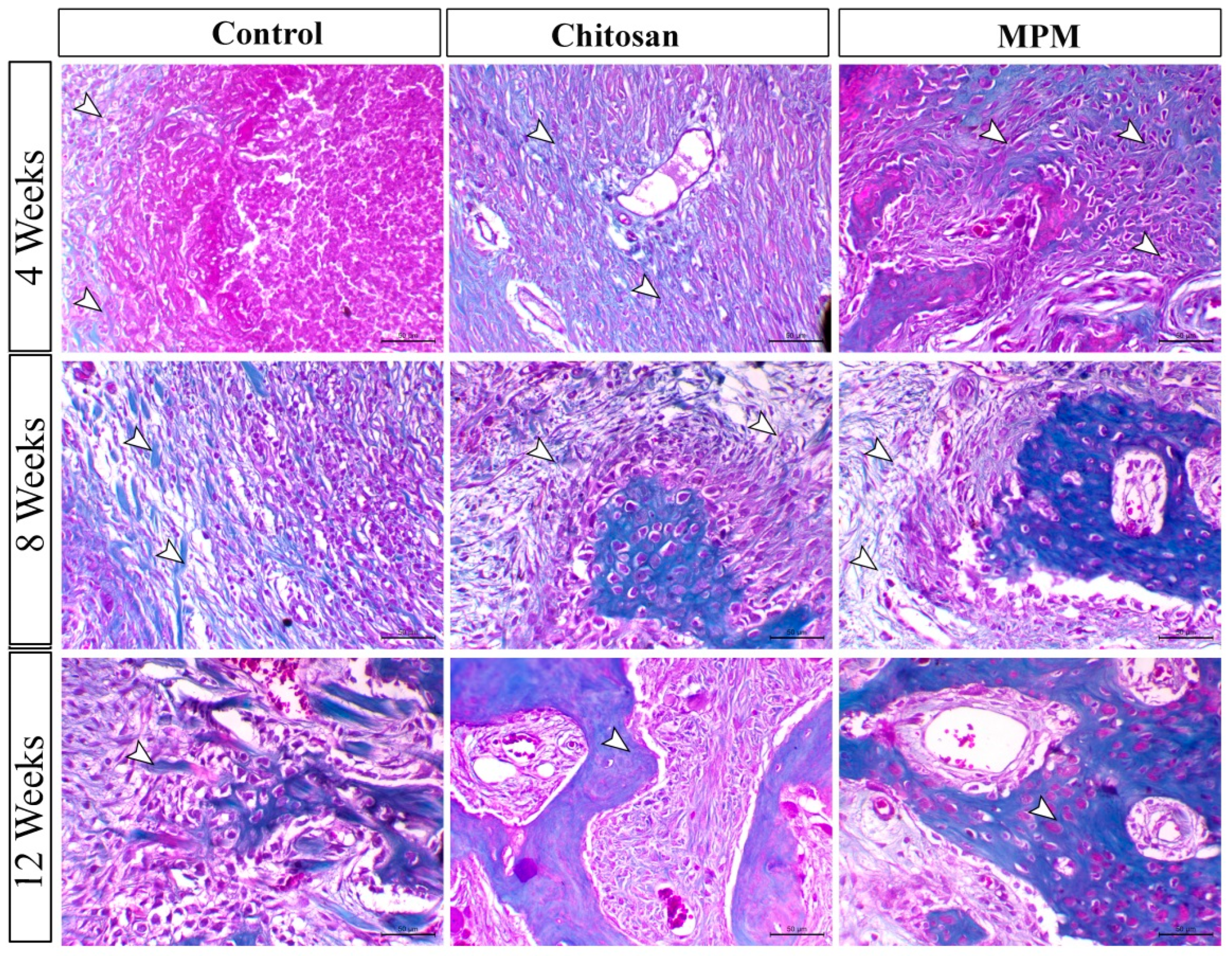 Processes 10 01890 g008