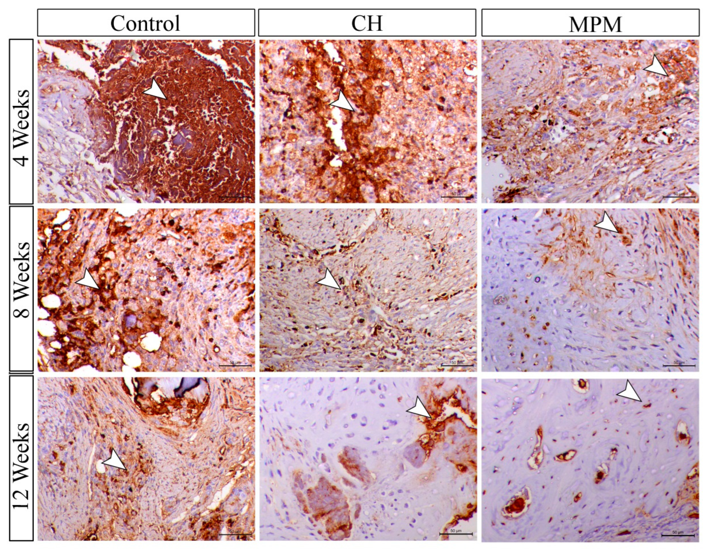 Processes 10 01890 g010