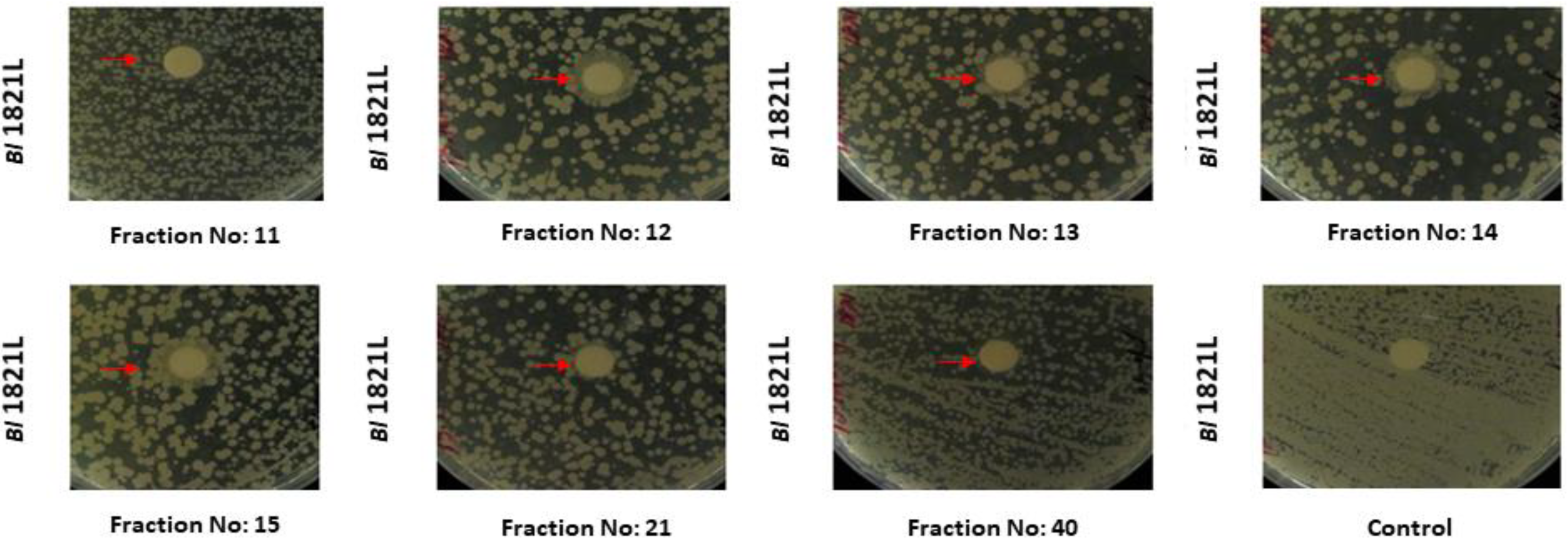 Processes 10 01932 g002 Processes 10 01932 g002