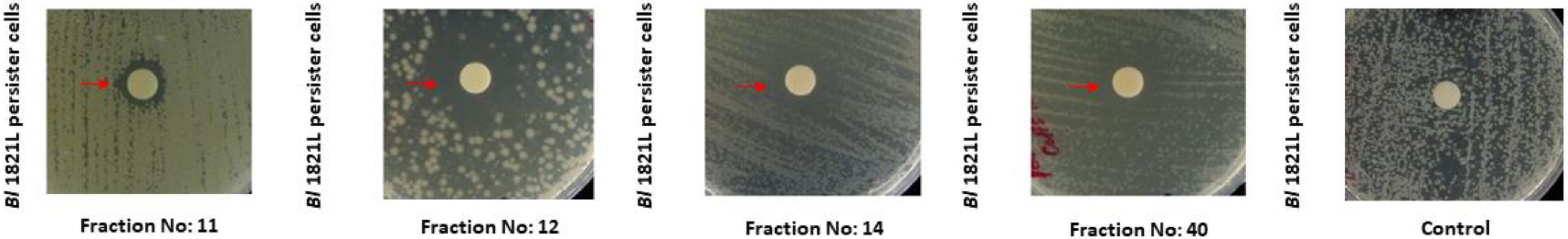 Processes 10 01932 g003 Processes 10 01932 g003