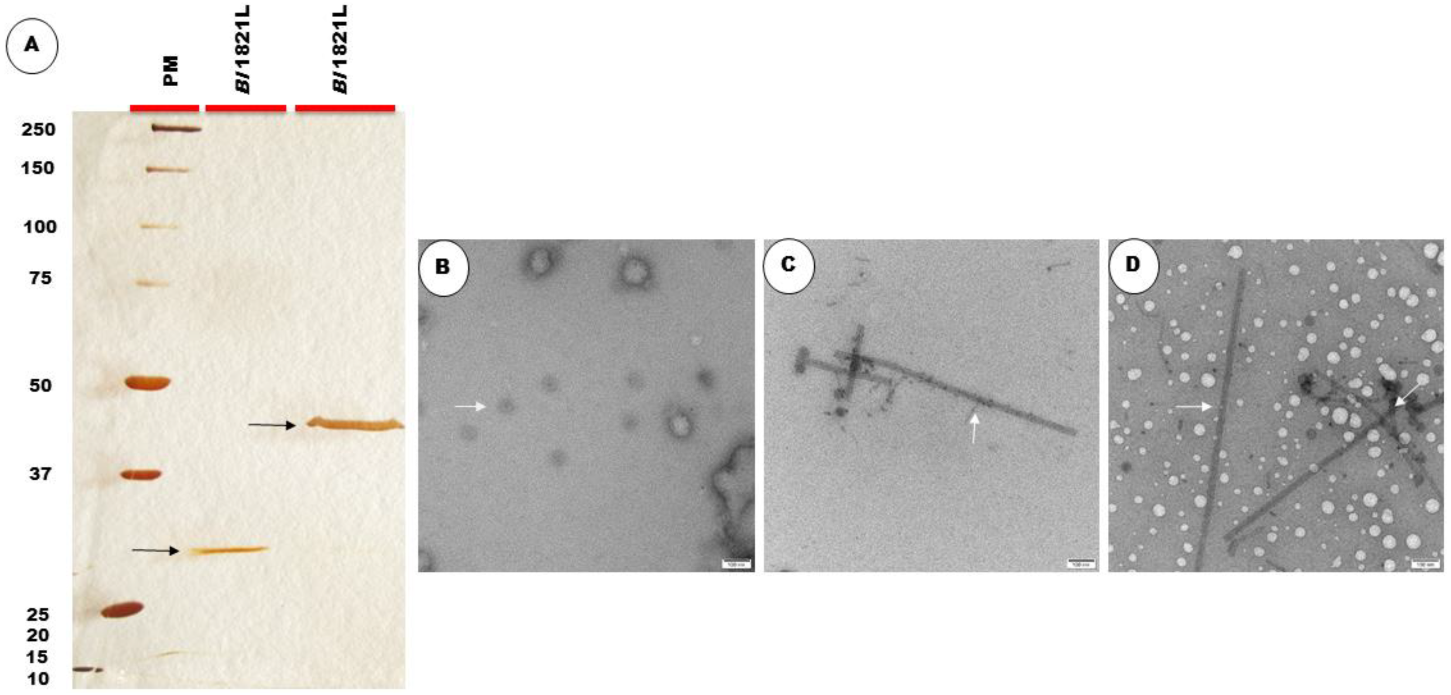 Processes 10 01932 g005 Processes 10 01932 g005