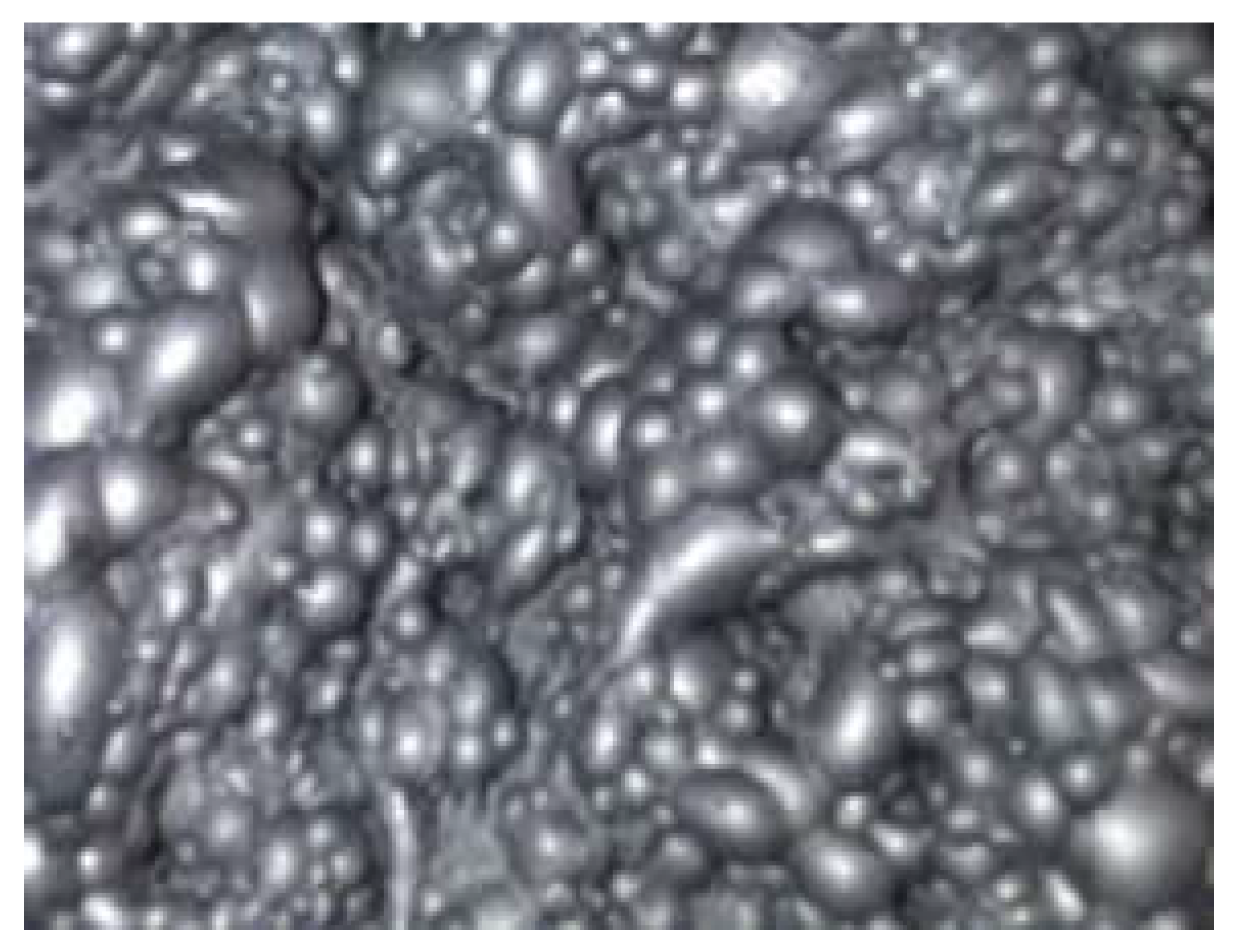 Processes 10 01933 g005