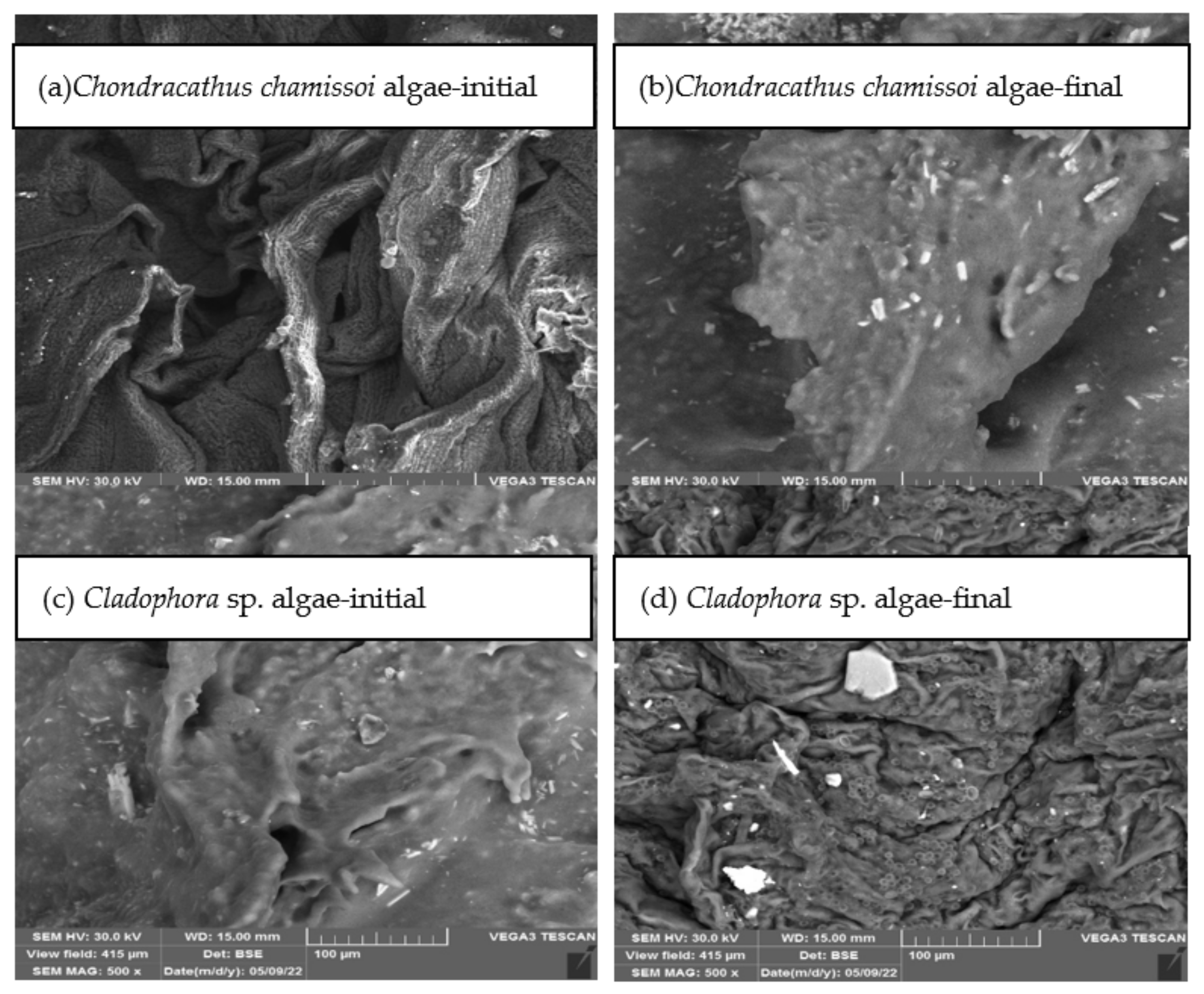 Processes 10 01967 g005