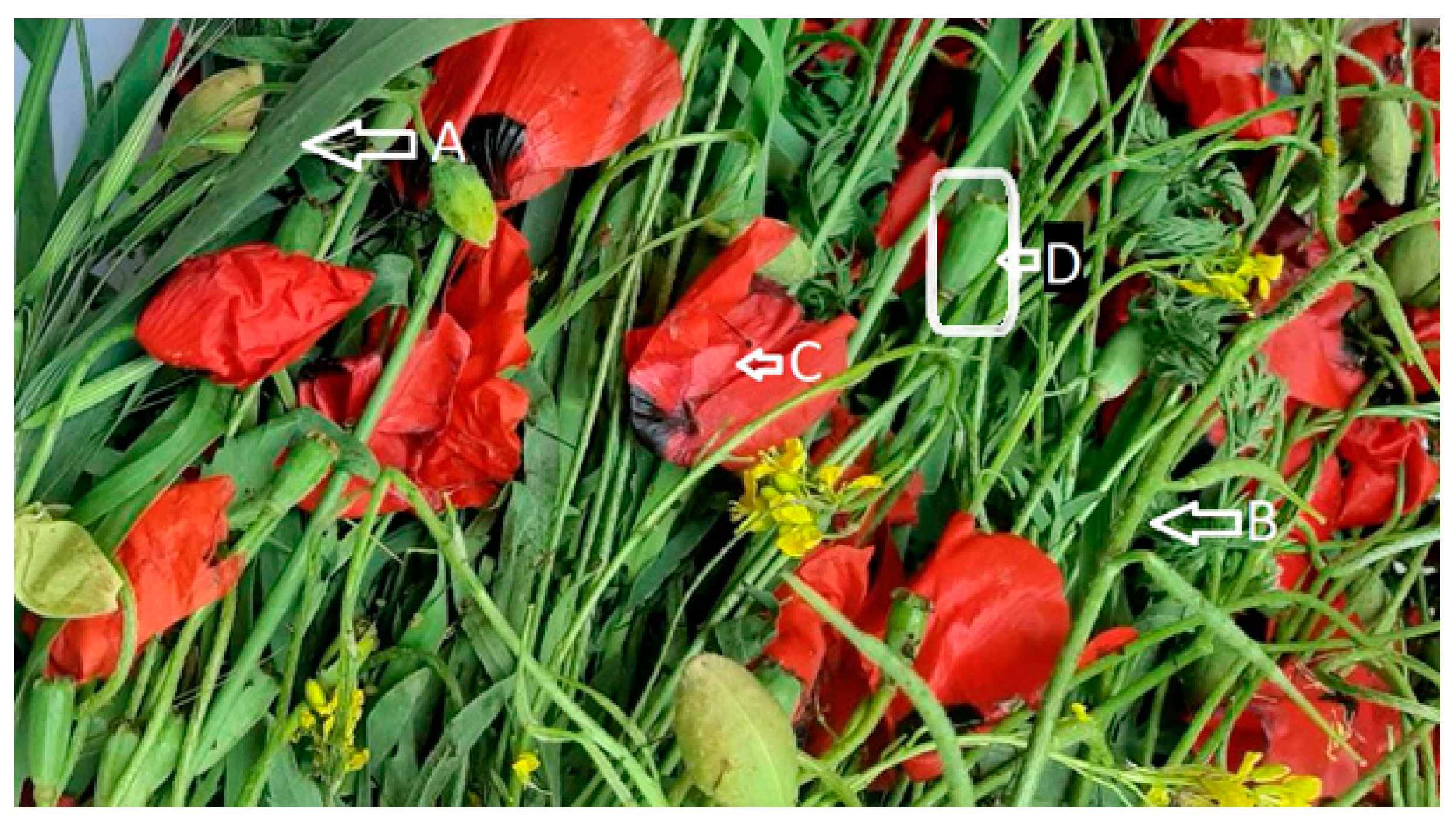 Processes 10 01985 g001 Processes 10 01985 g001