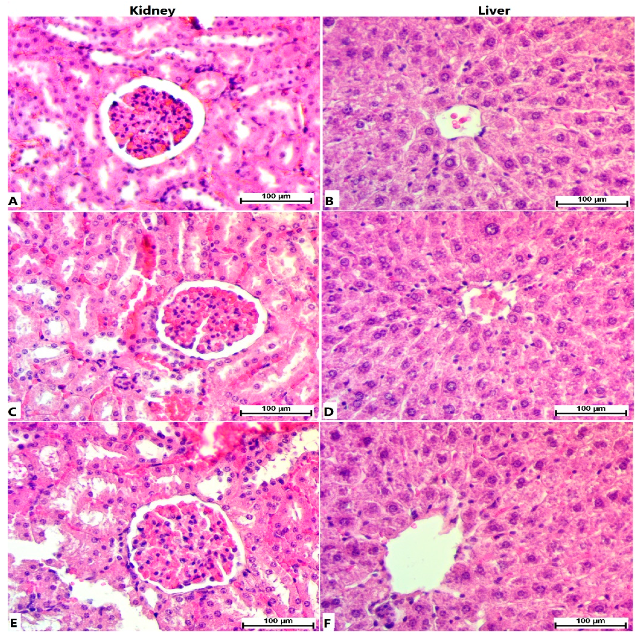 Processes 10 01985 g002 Processes 10 01985 g002