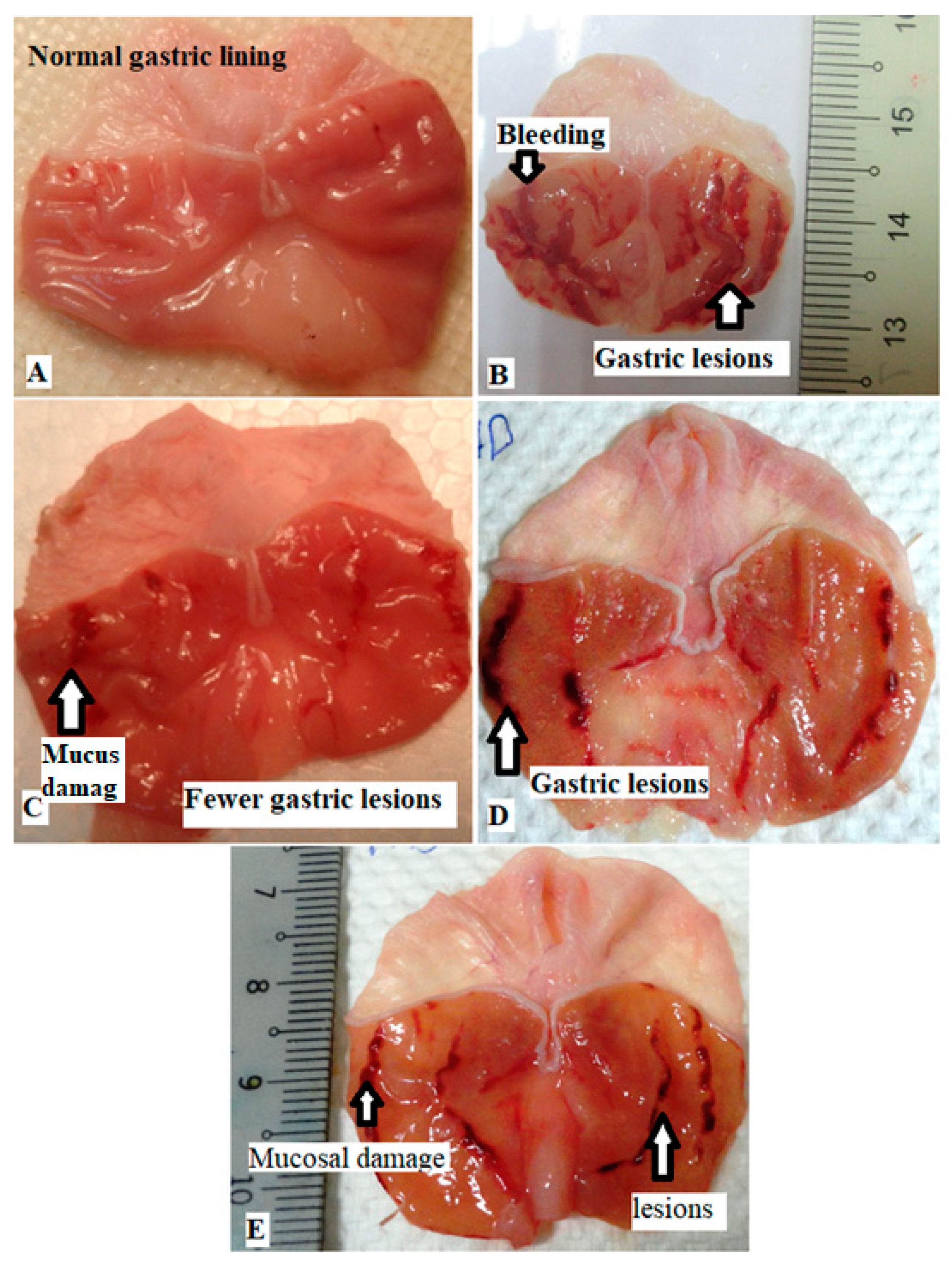 Processes 10 01985 g003 Processes 10 01985 g003