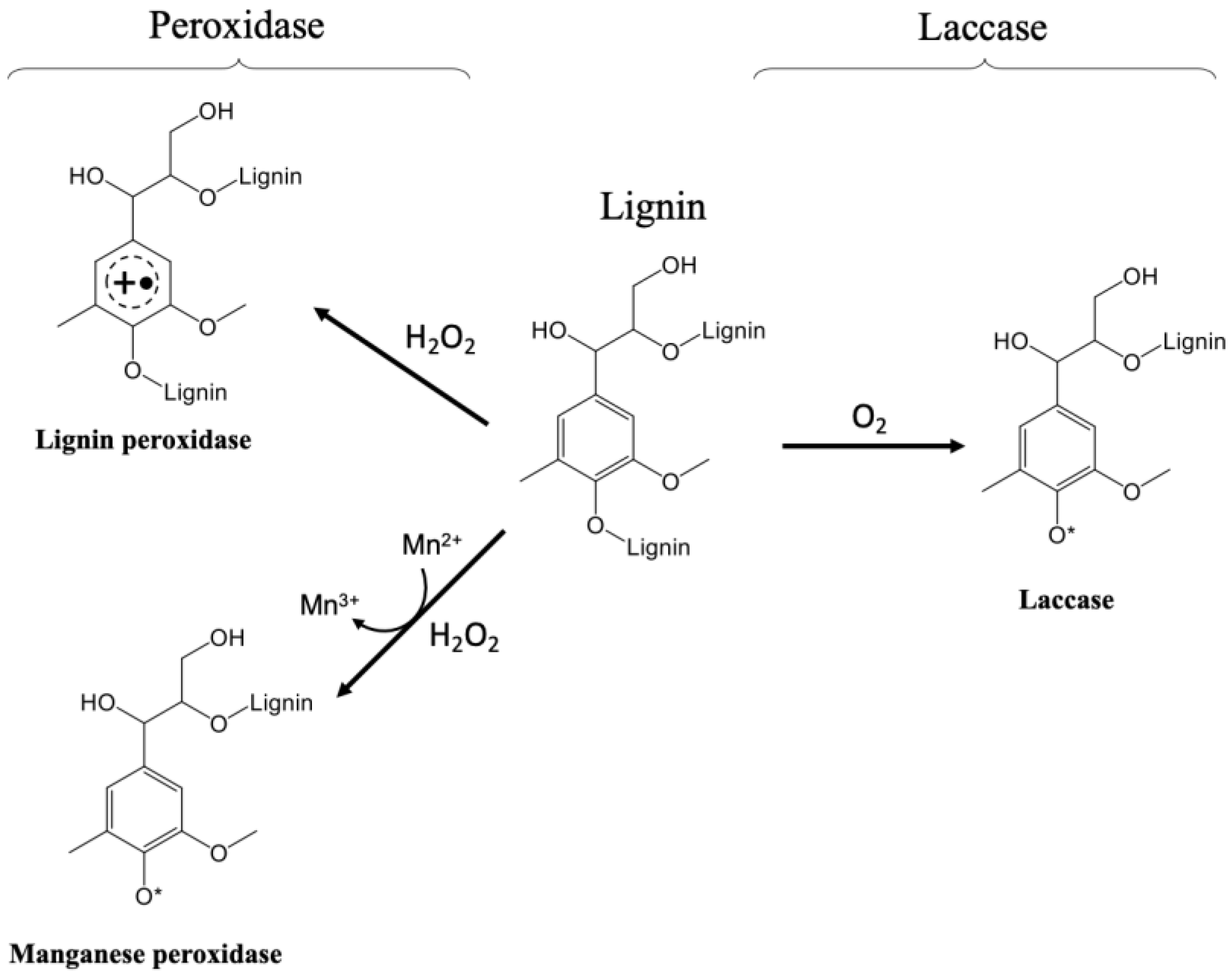 Processes 10 02004 g002