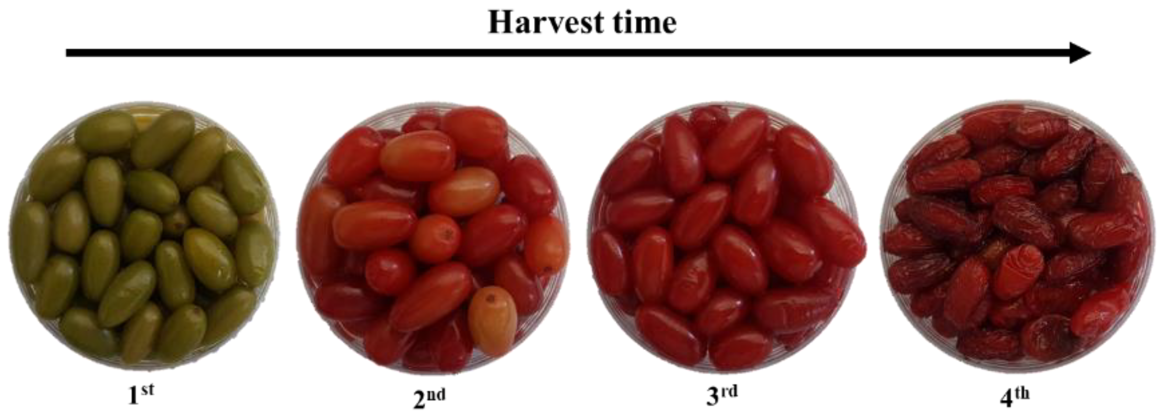 Processes 10 02008 g001 Processes 10 02008 g001