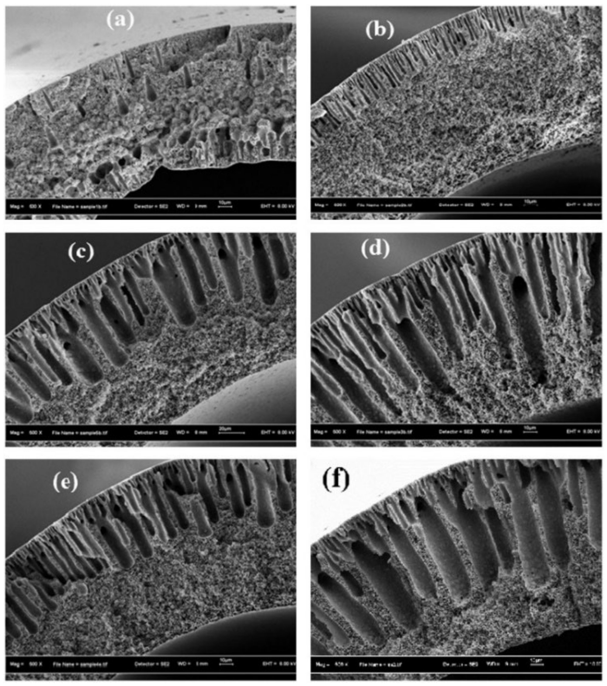 Processes 10 02103 g006