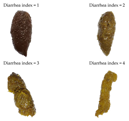 Bacillus coagulans BACO-17 Alone or in Combination with Galacto