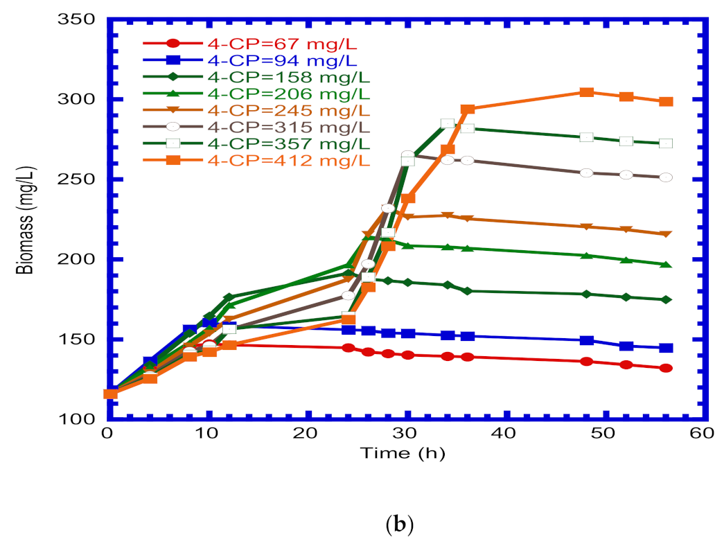 Processes 10 02130 g002b