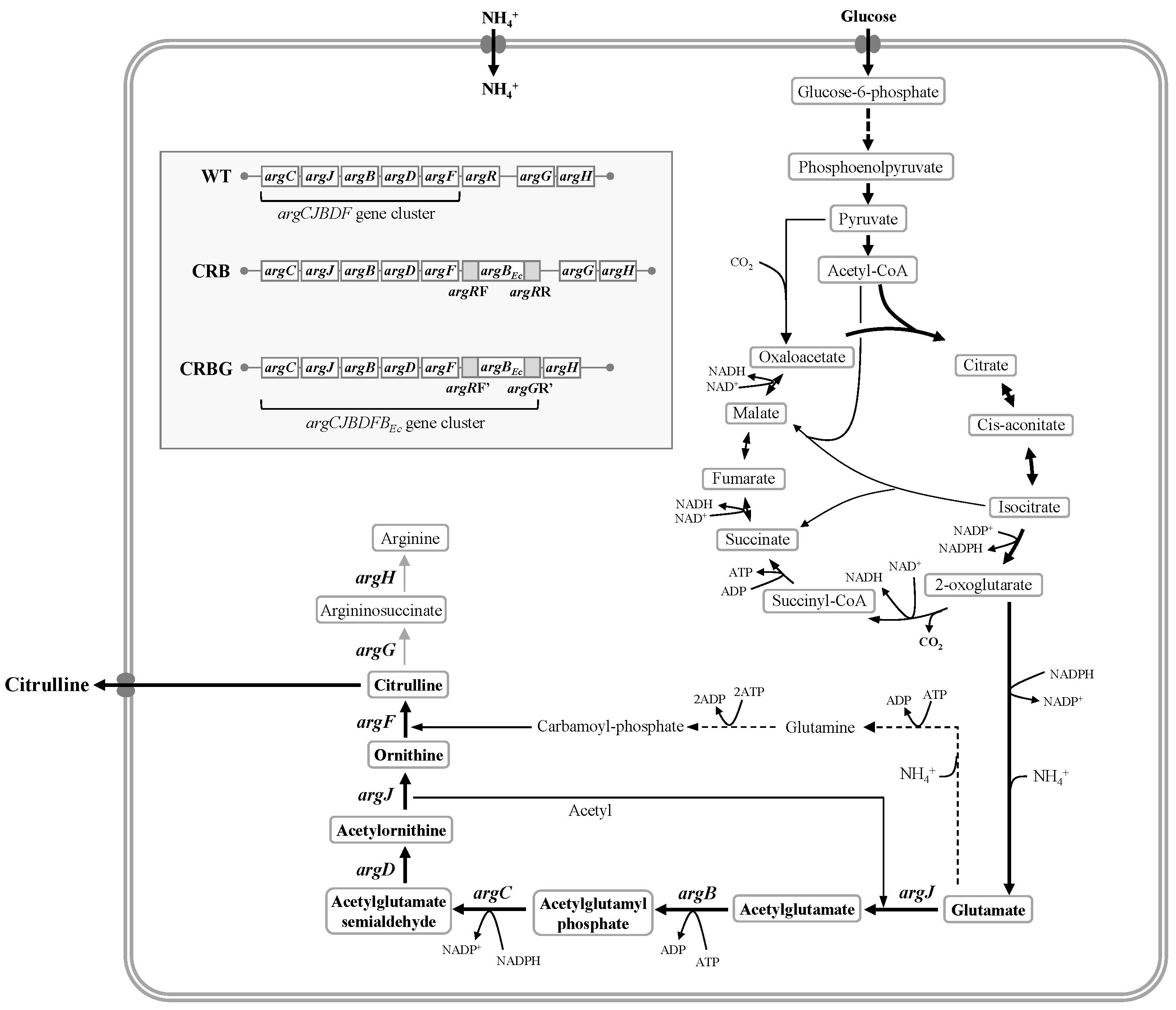 Processes 10 02153 g001