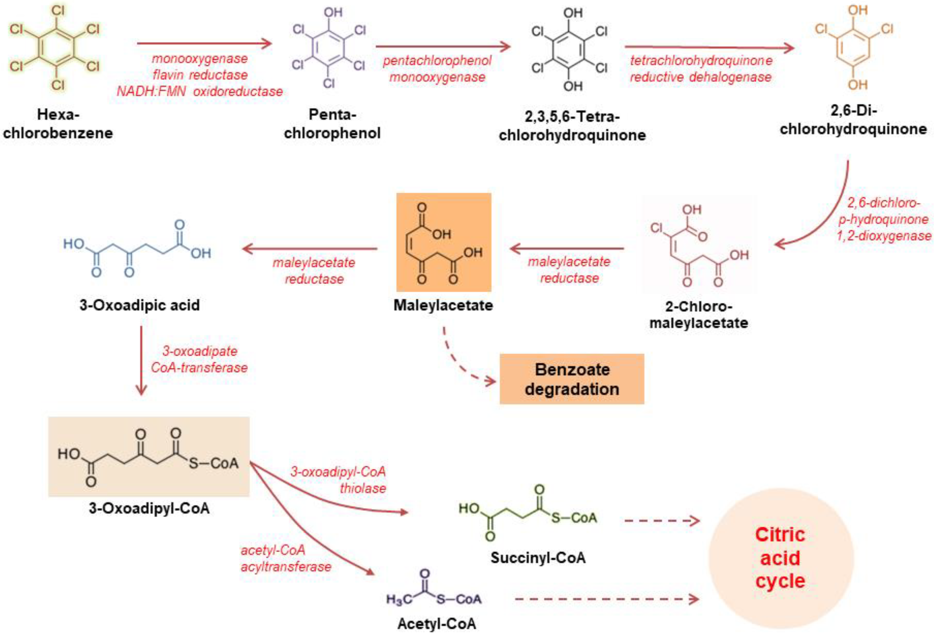 Processes 10 02170 g003