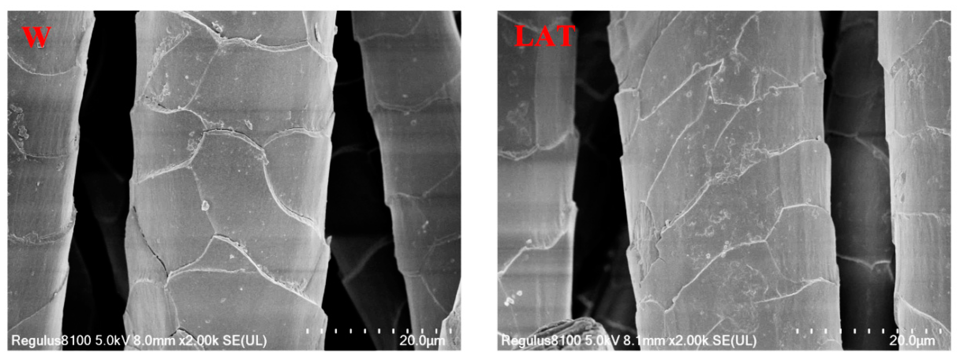 Processes 10 02172 g004 Processes 10 02172 g004