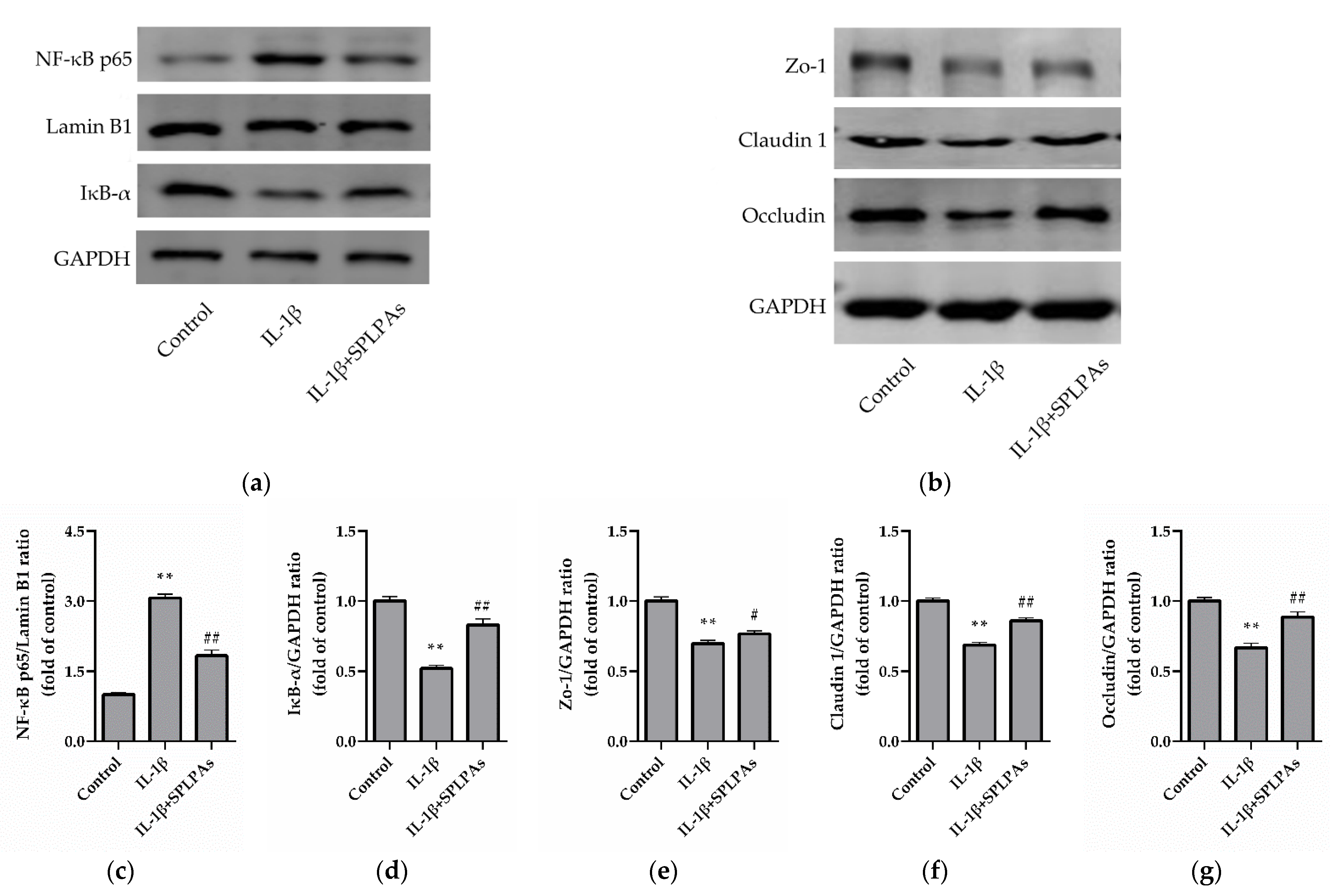 Processes 10 02211 g004 Processes 10 02211 g004