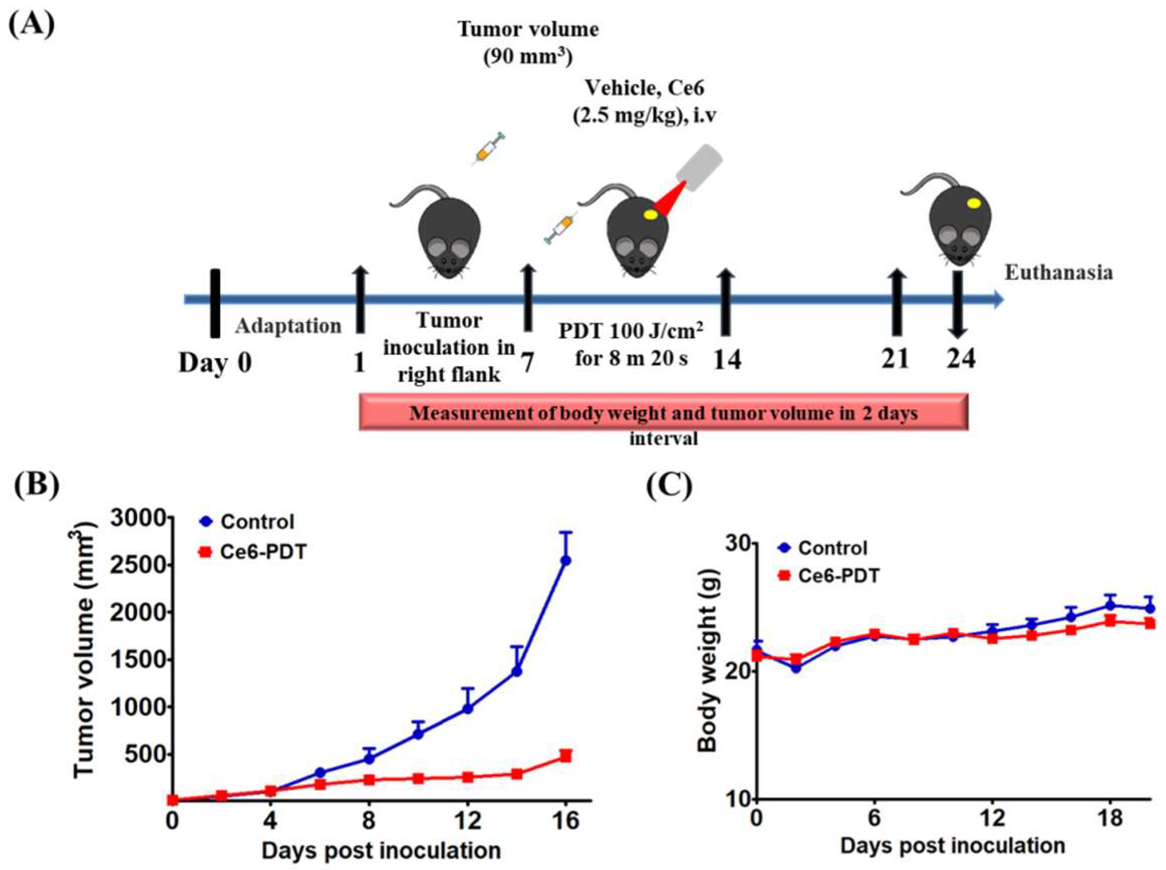 Processes 10 02215 g004