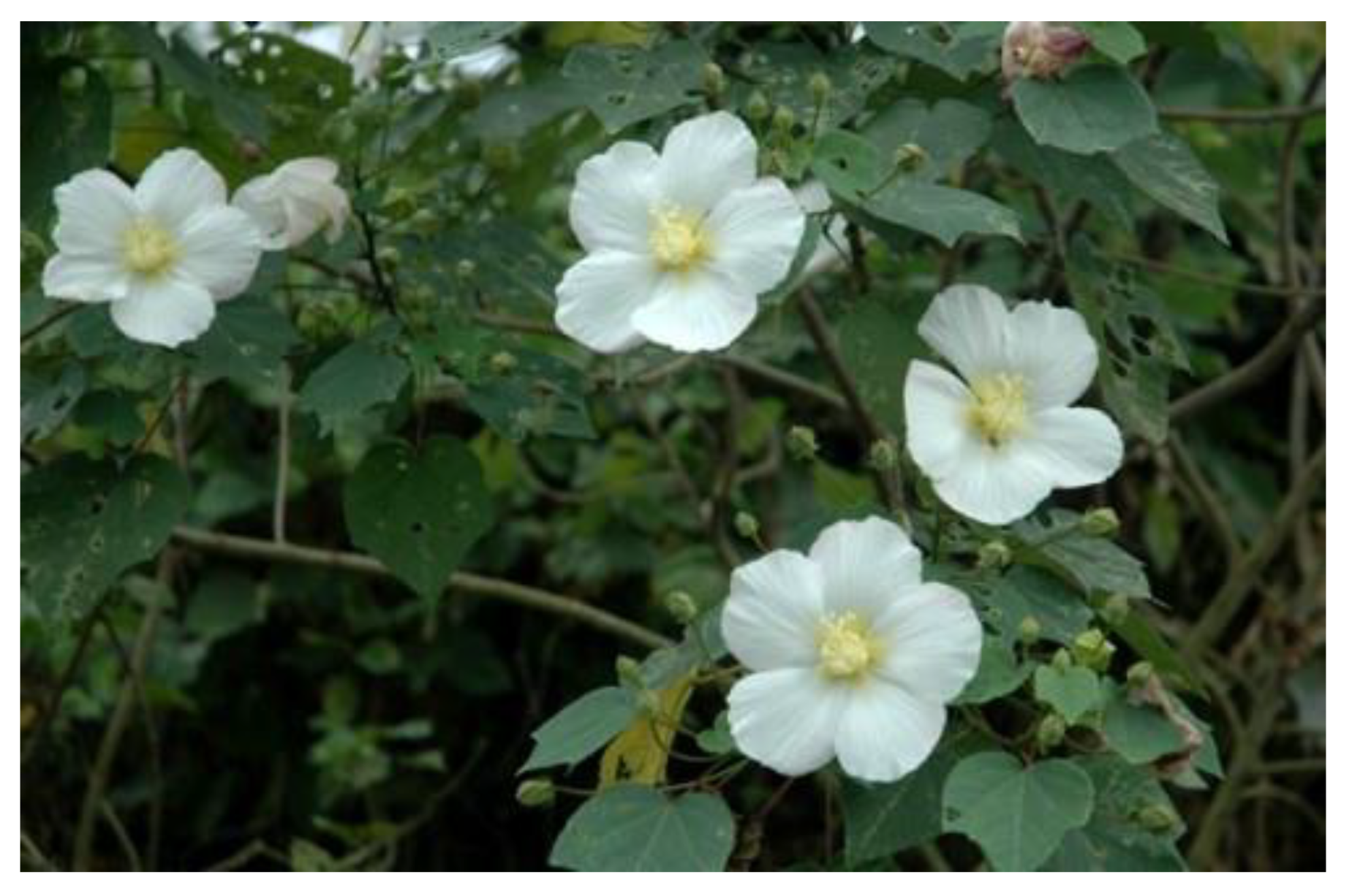 Processes 10 02218 g001