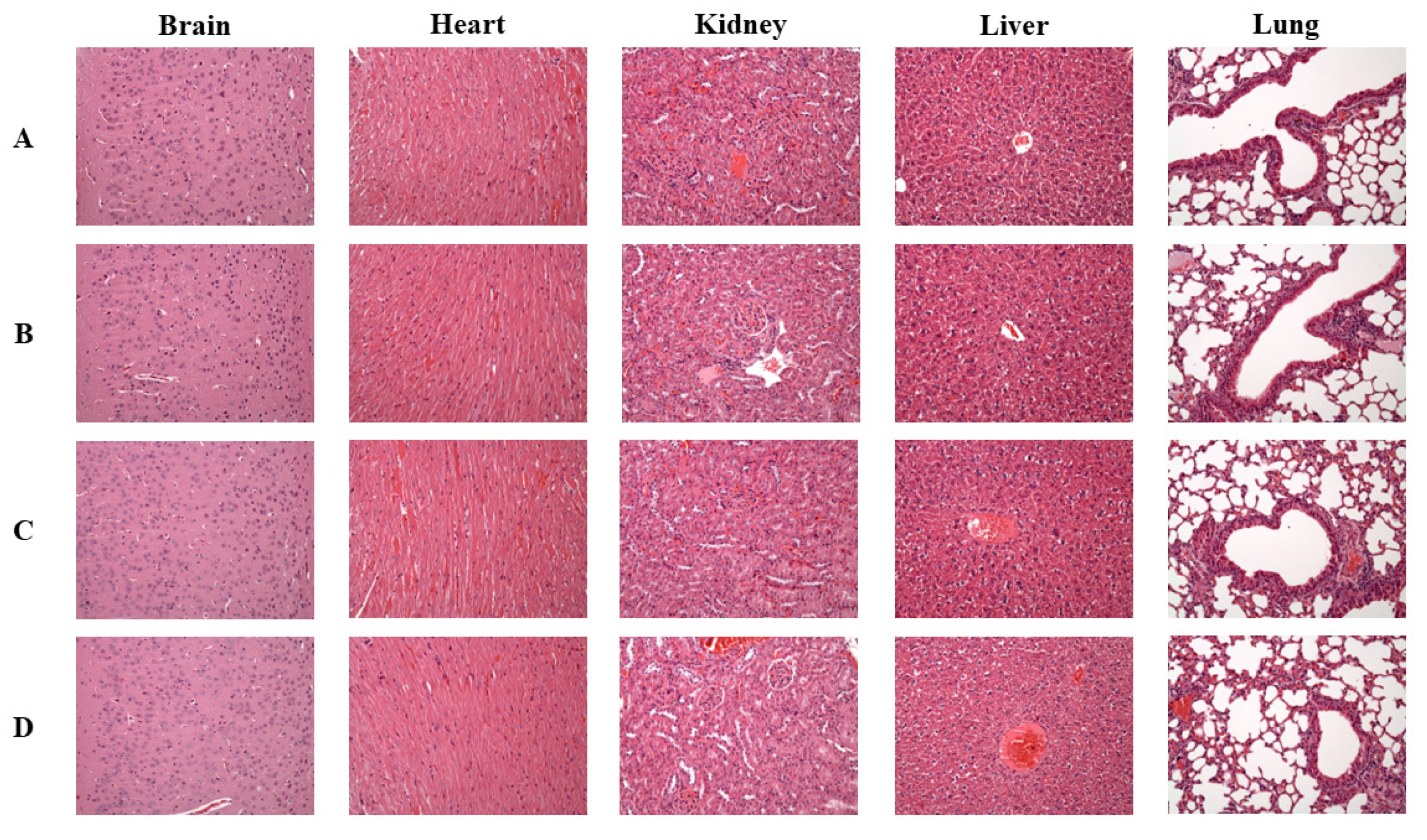 Processes 10 02242 g002 Processes 10 02242 g002