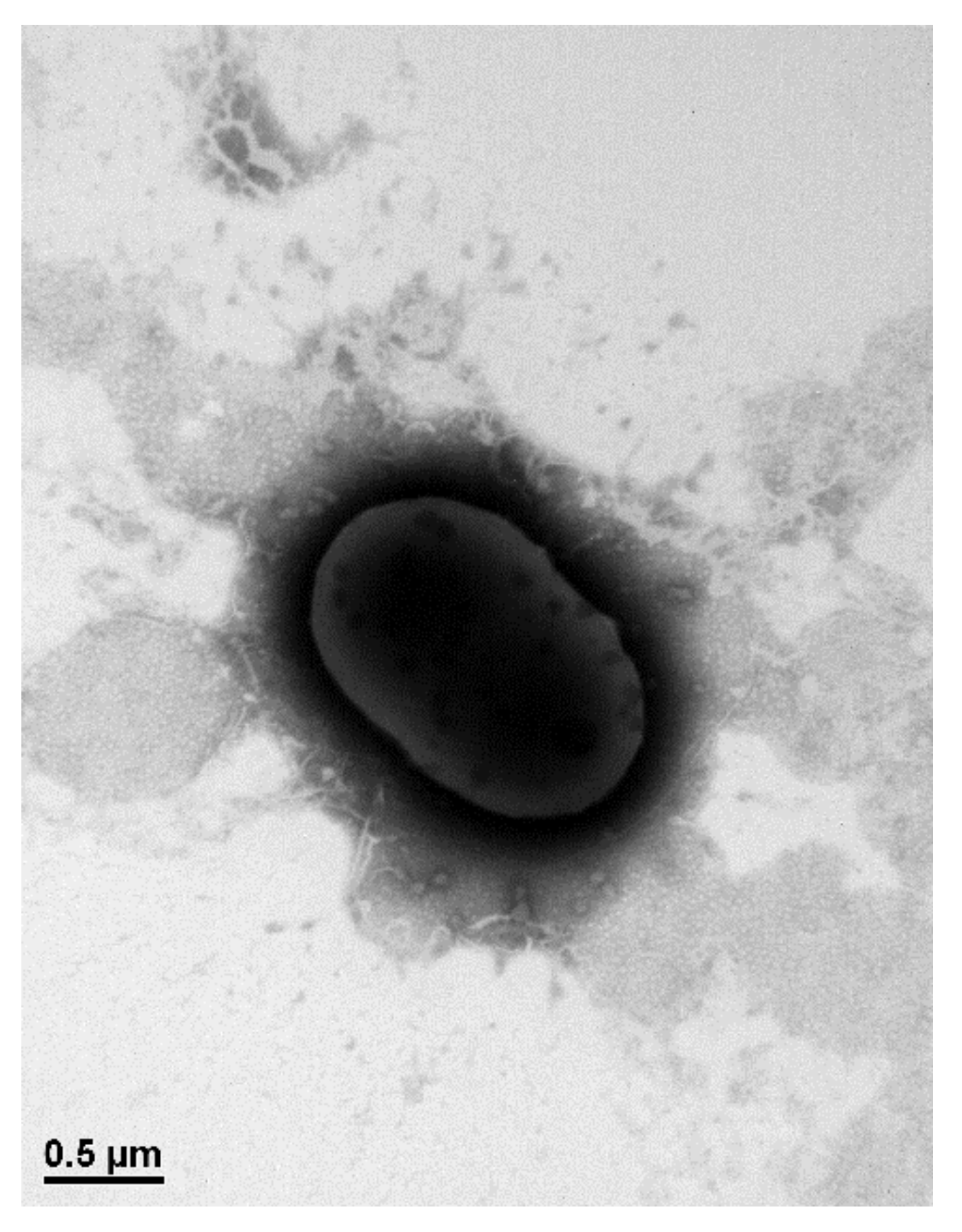 Processes 10 02256 g002 Processes 10 02256 g002