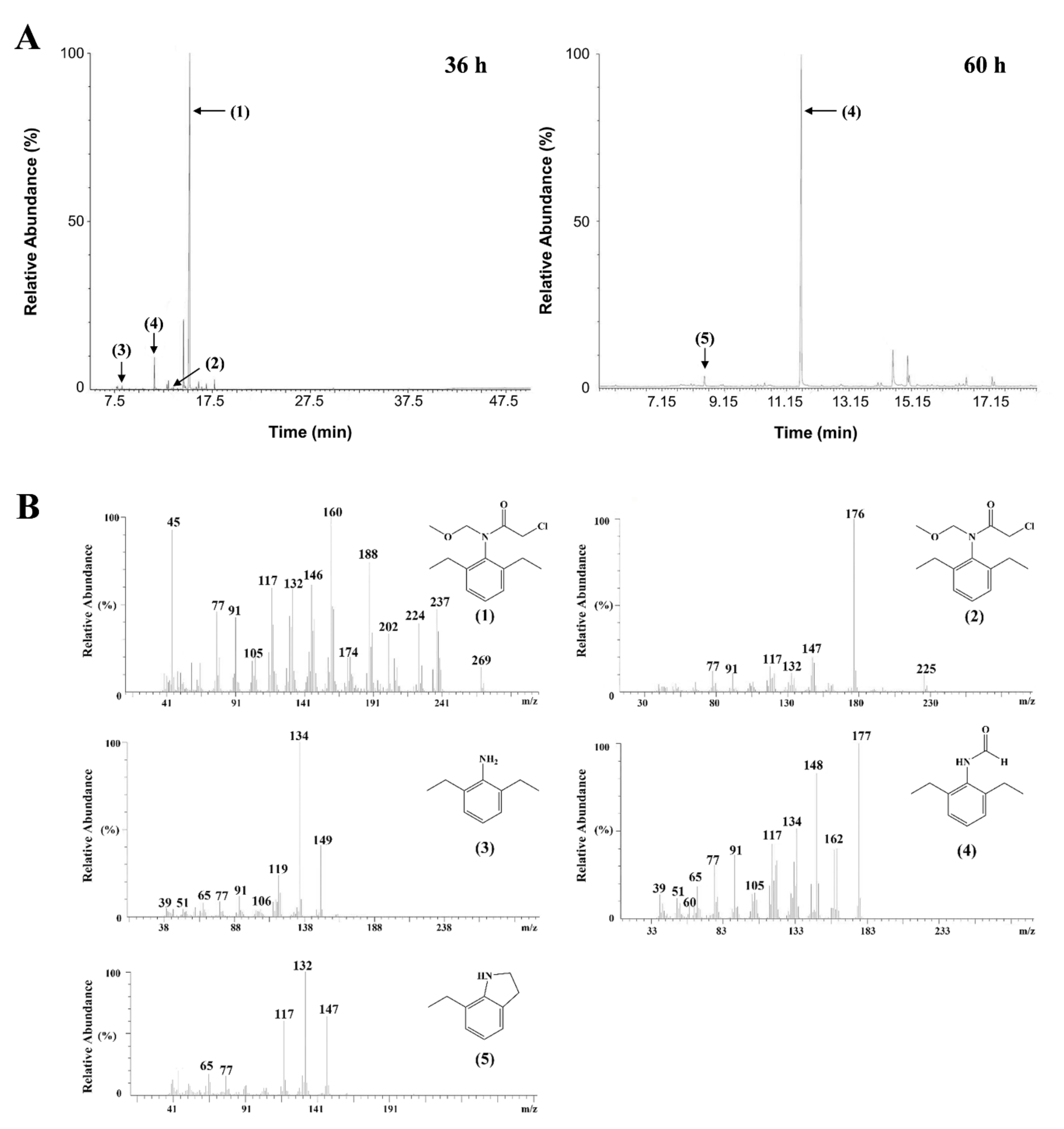 Processes 10 02256 g005 Processes 10 02256 g005
