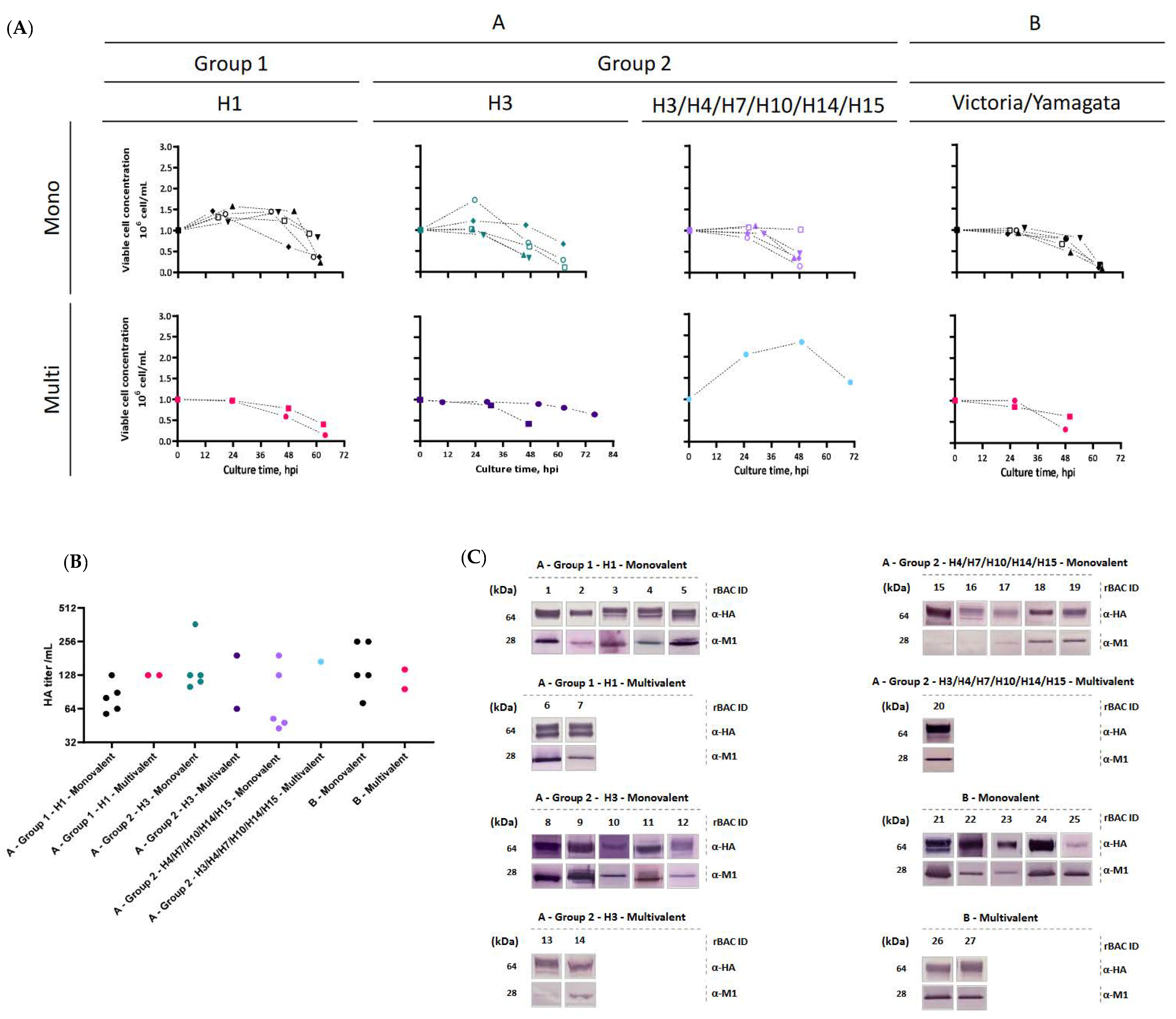 Processes 10 02283 g001 Processes 10 02283 g001