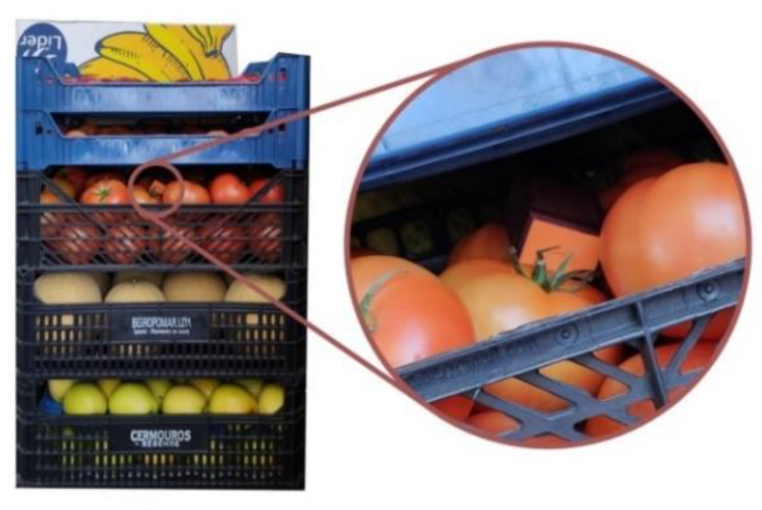 Processes 10 02286 g006 Processes 10 02286 g006