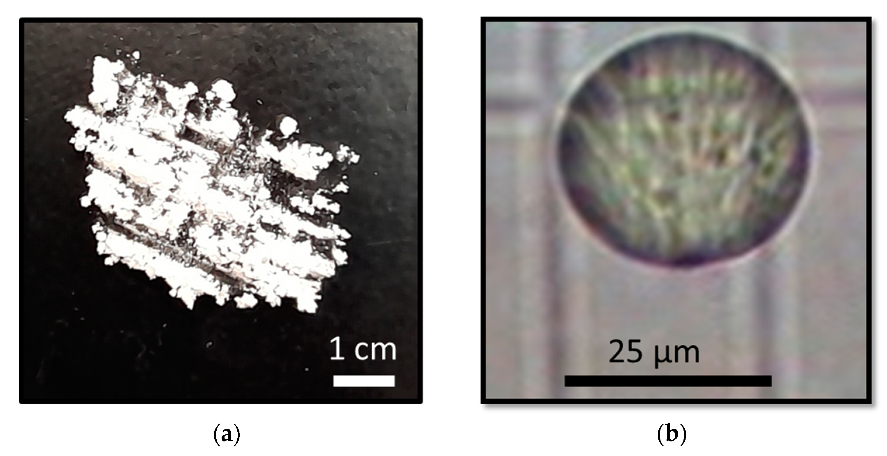 Processes 10 02300 g002