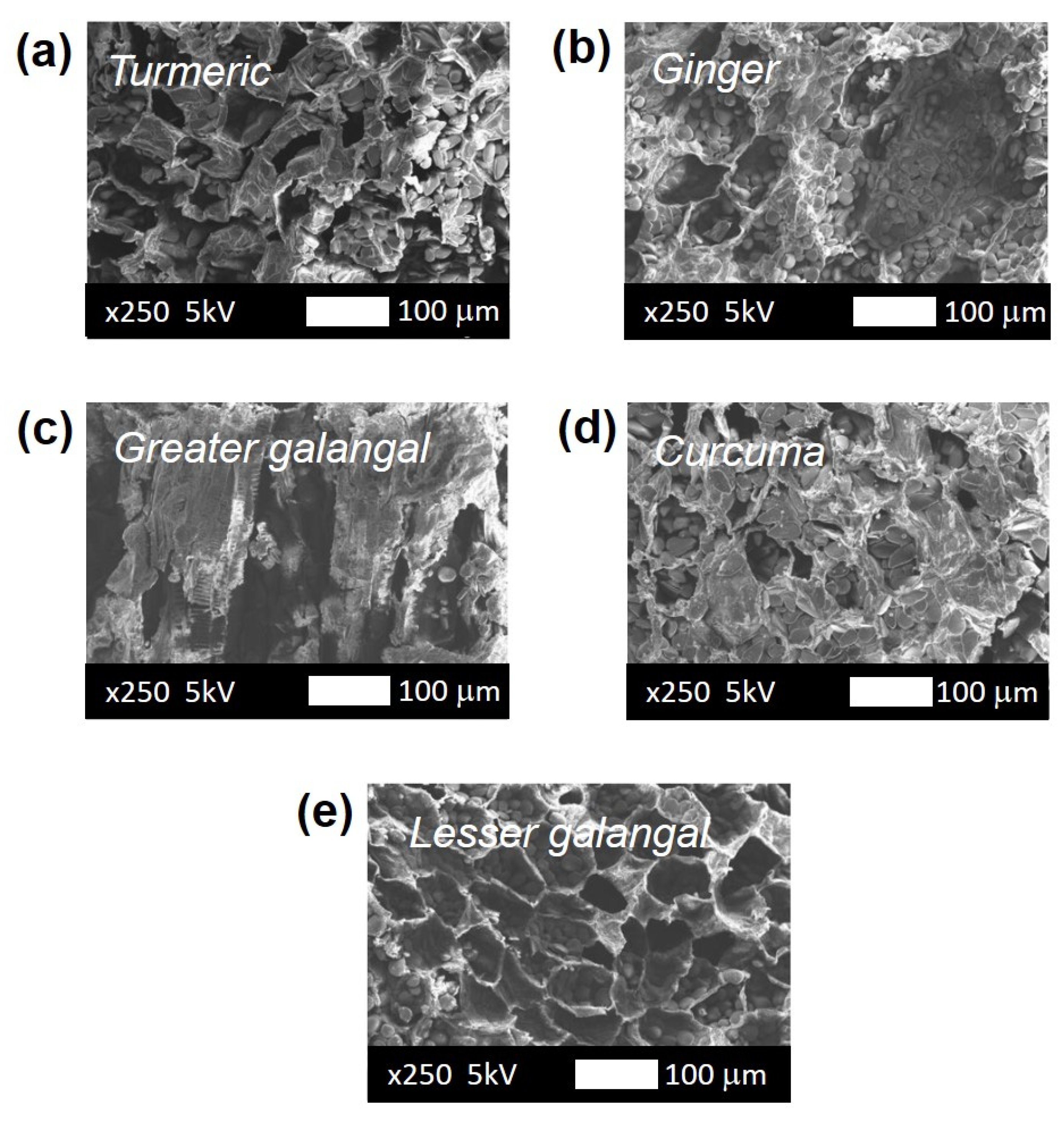 Processes 10 02319 g010